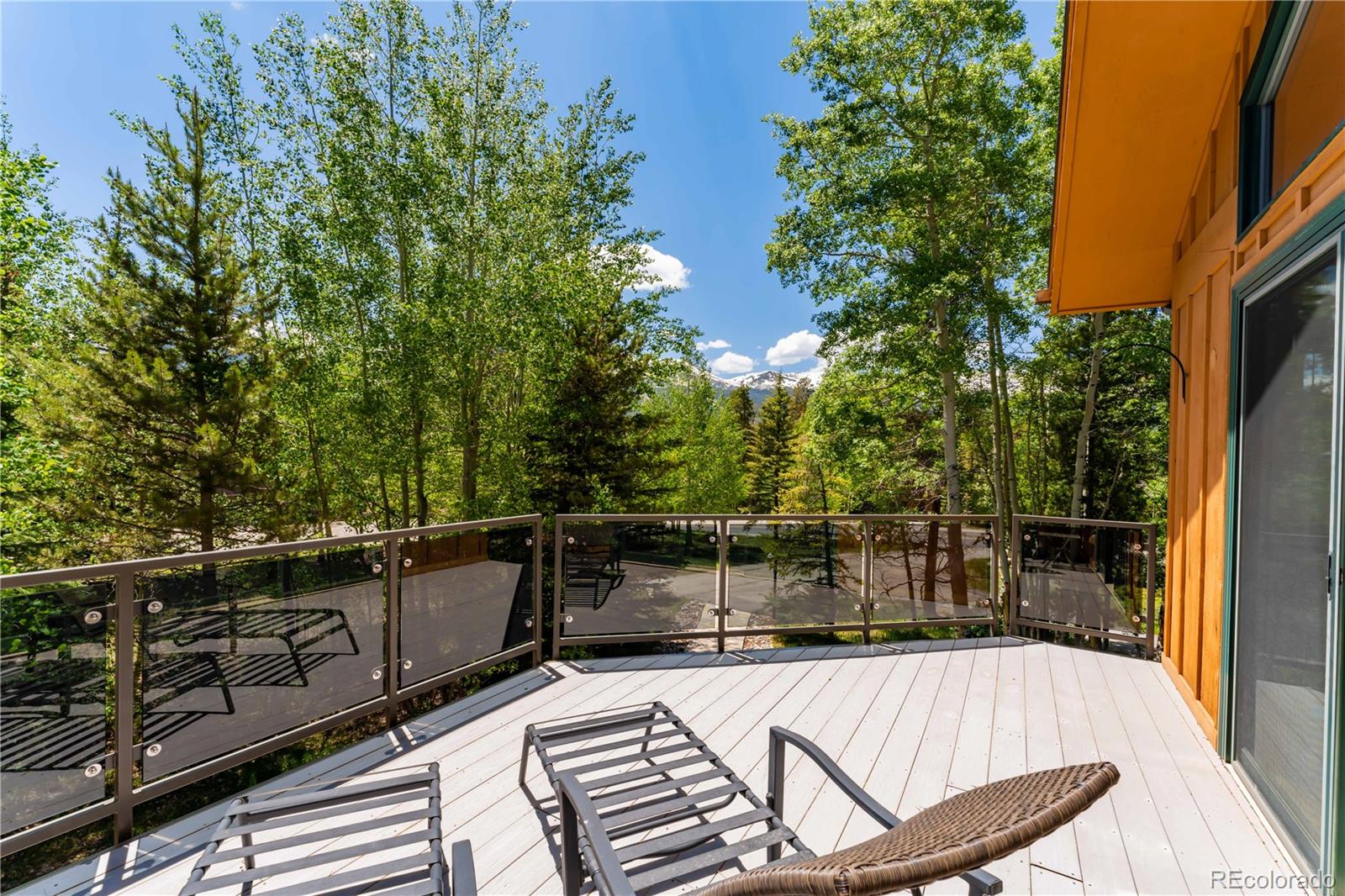 MLS Image #12 for 214  wellington road,breckenridge, Colorado