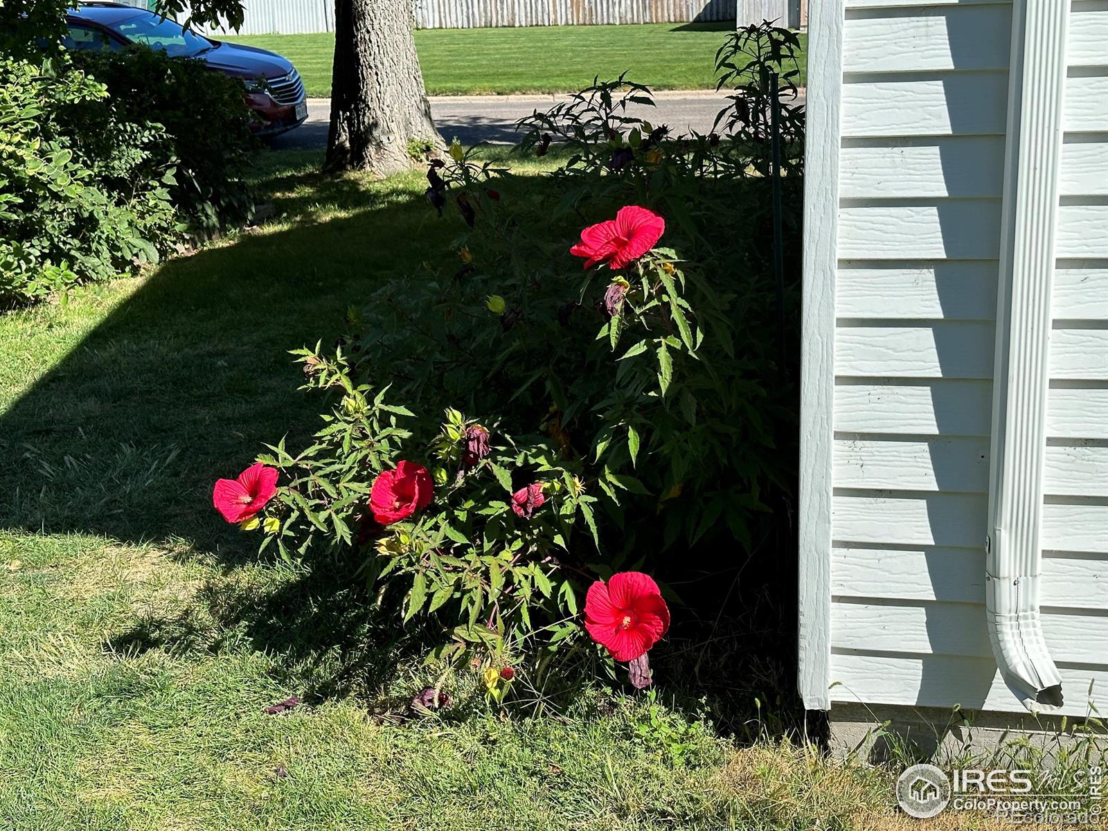 MLS Image #25 for 705 s washington avenue,haxtun, Colorado