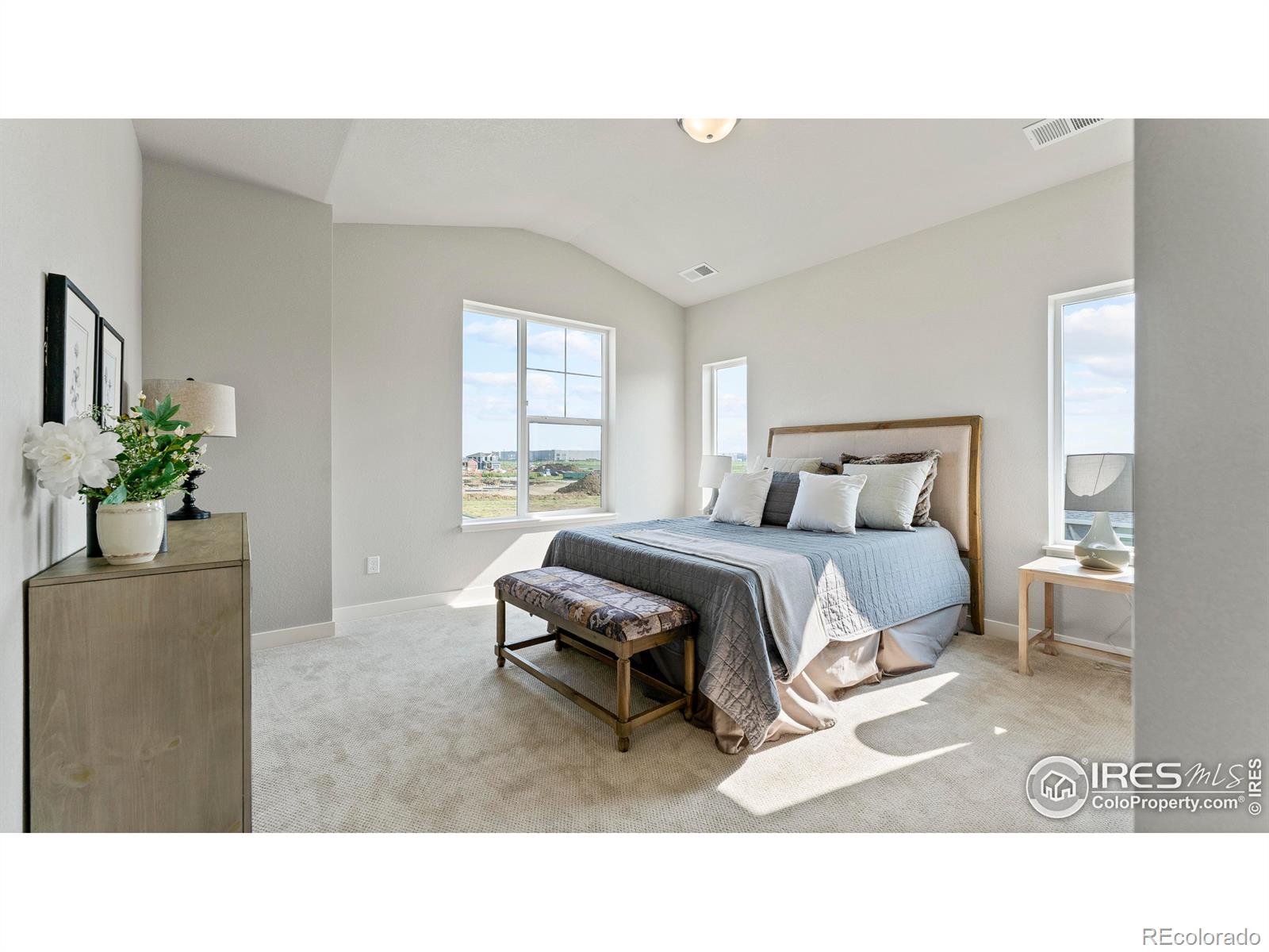 MLS Image #25 for 3498  grayling drive,loveland, Colorado