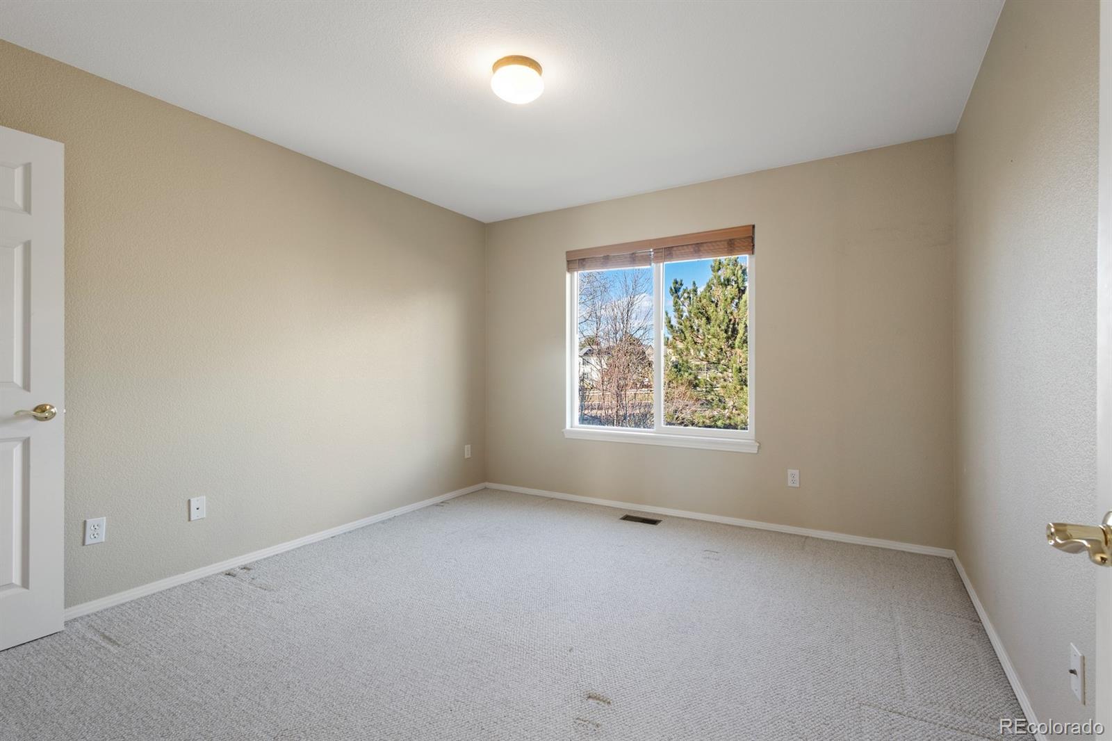 MLS Image #24 for 1432  lookout springs drive,colorado springs, Colorado