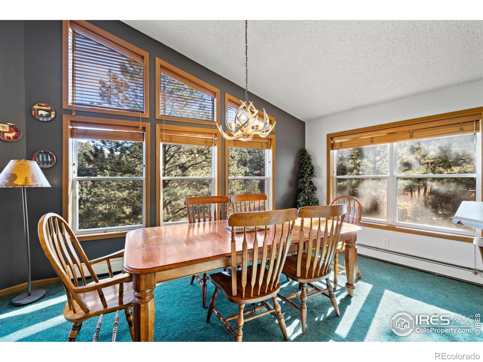 MLS Image #11 for 260  miller fork road,glen haven, Colorado