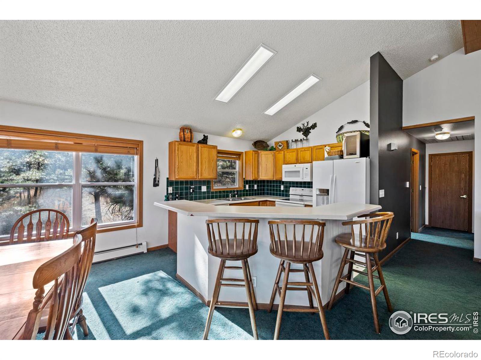 MLS Image #12 for 260  miller fork road,glen haven, Colorado