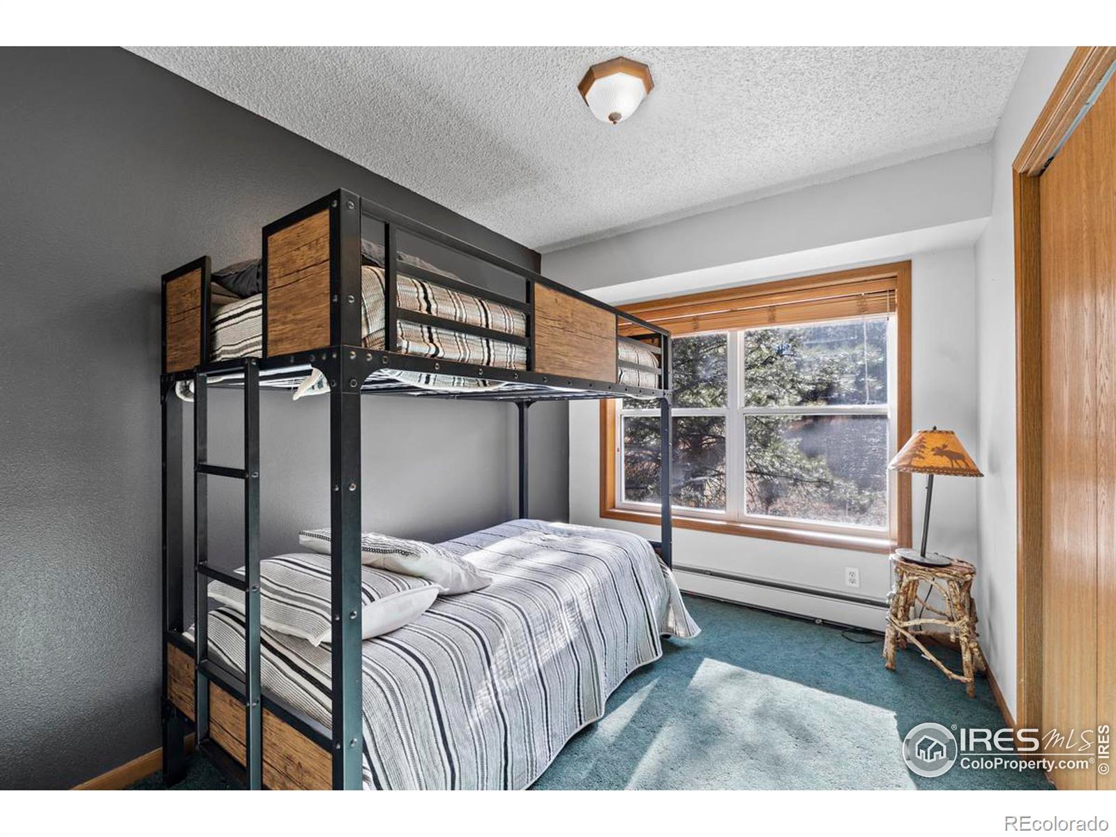 MLS Image #21 for 260  miller fork road,glen haven, Colorado