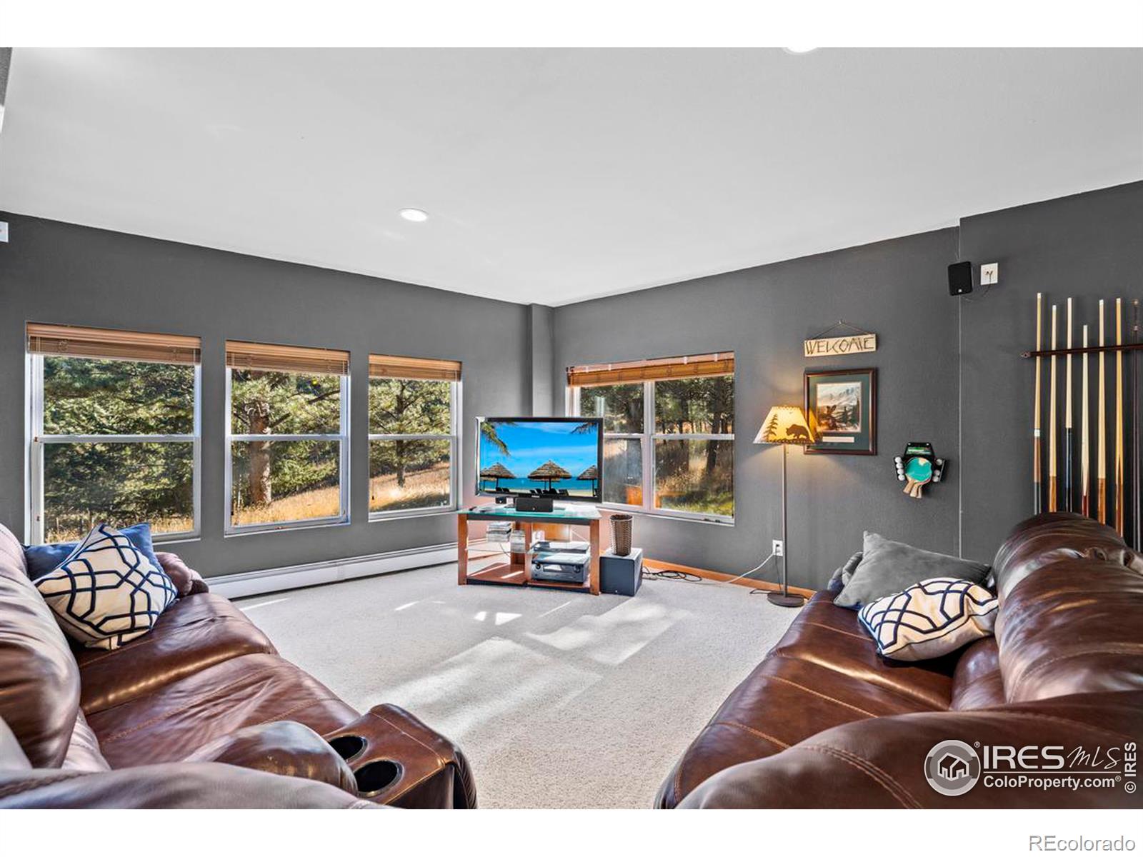 MLS Image #24 for 260  miller fork road,glen haven, Colorado