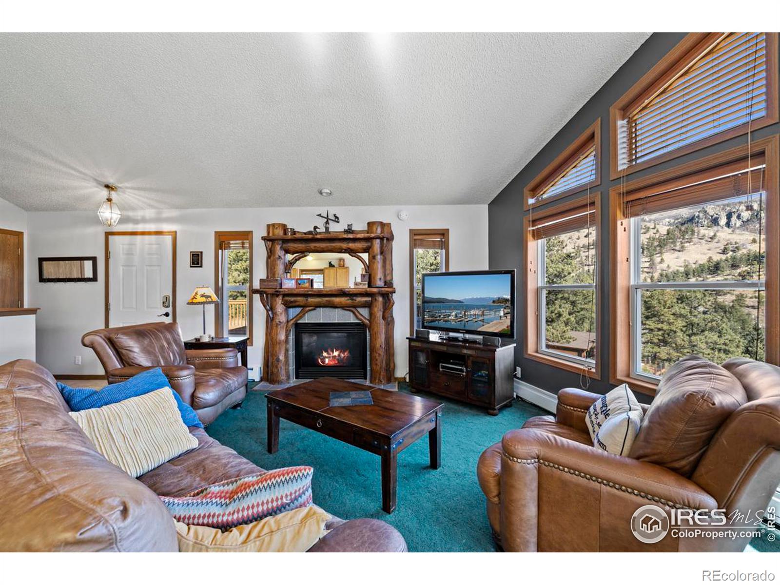 MLS Image #9 for 260  miller fork road,glen haven, Colorado