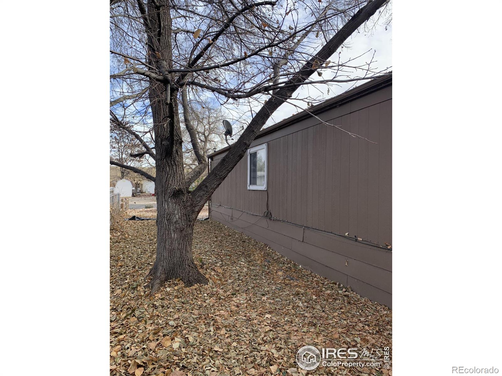 MLS Image #10 for 8507  mummy range drive,fort collins, Colorado
