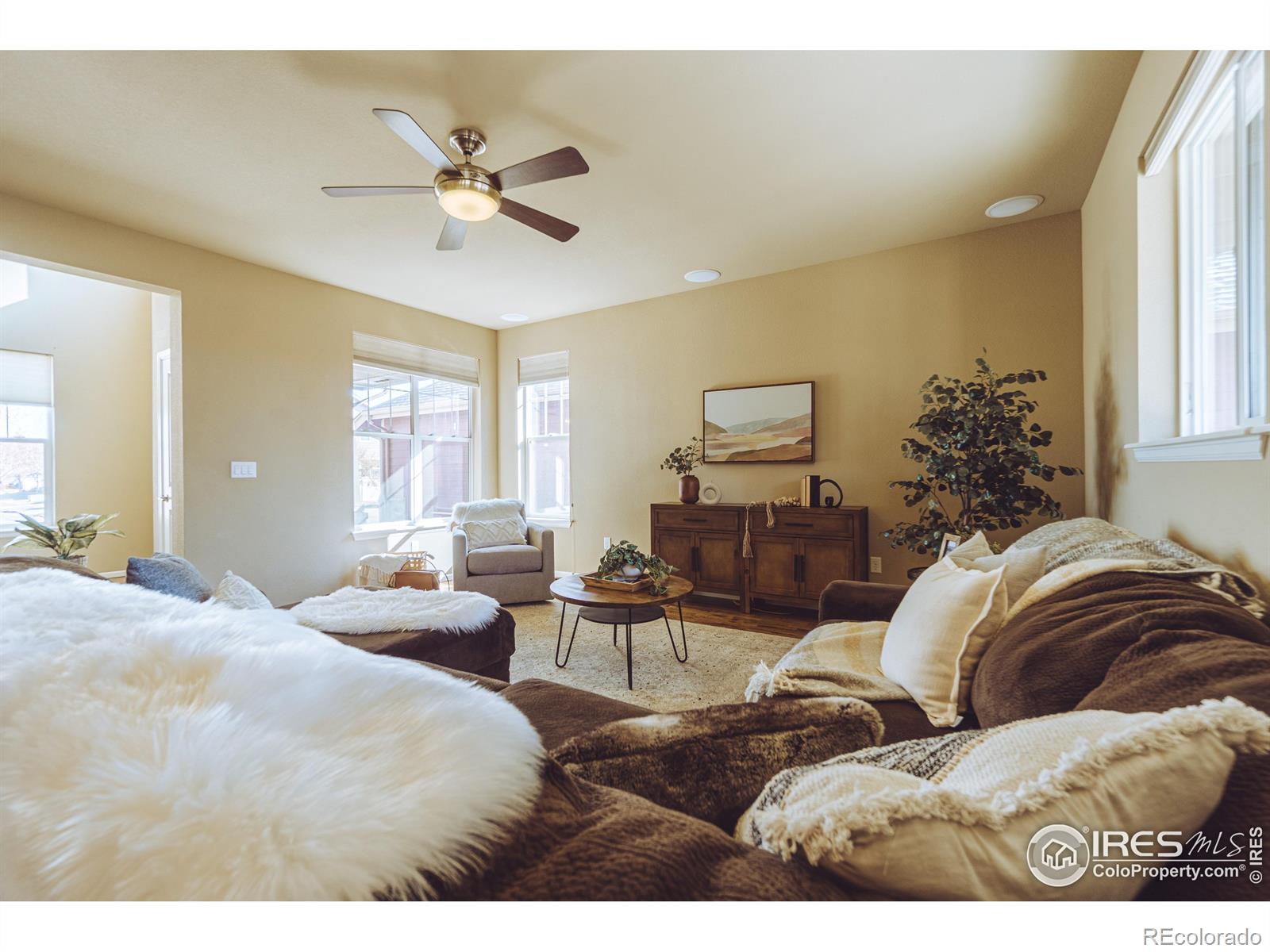 MLS Image #7 for 1329  sunshine avenue,longmont, Colorado