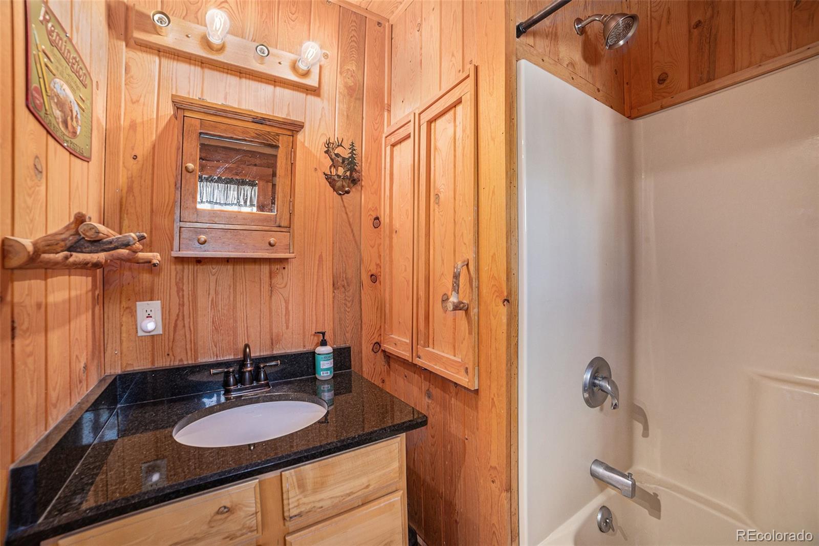 MLS Image #13 for 10  knight lane,cotopaxi, Colorado