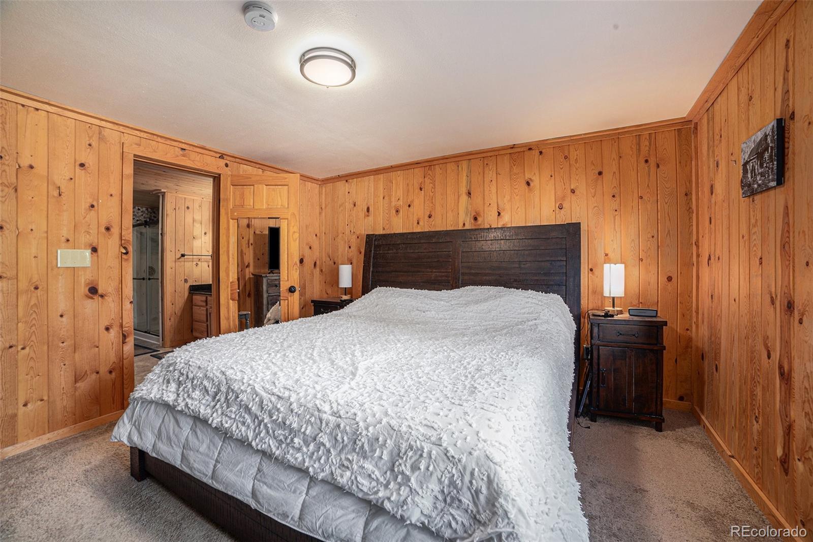 MLS Image #19 for 10  knight lane,cotopaxi, Colorado