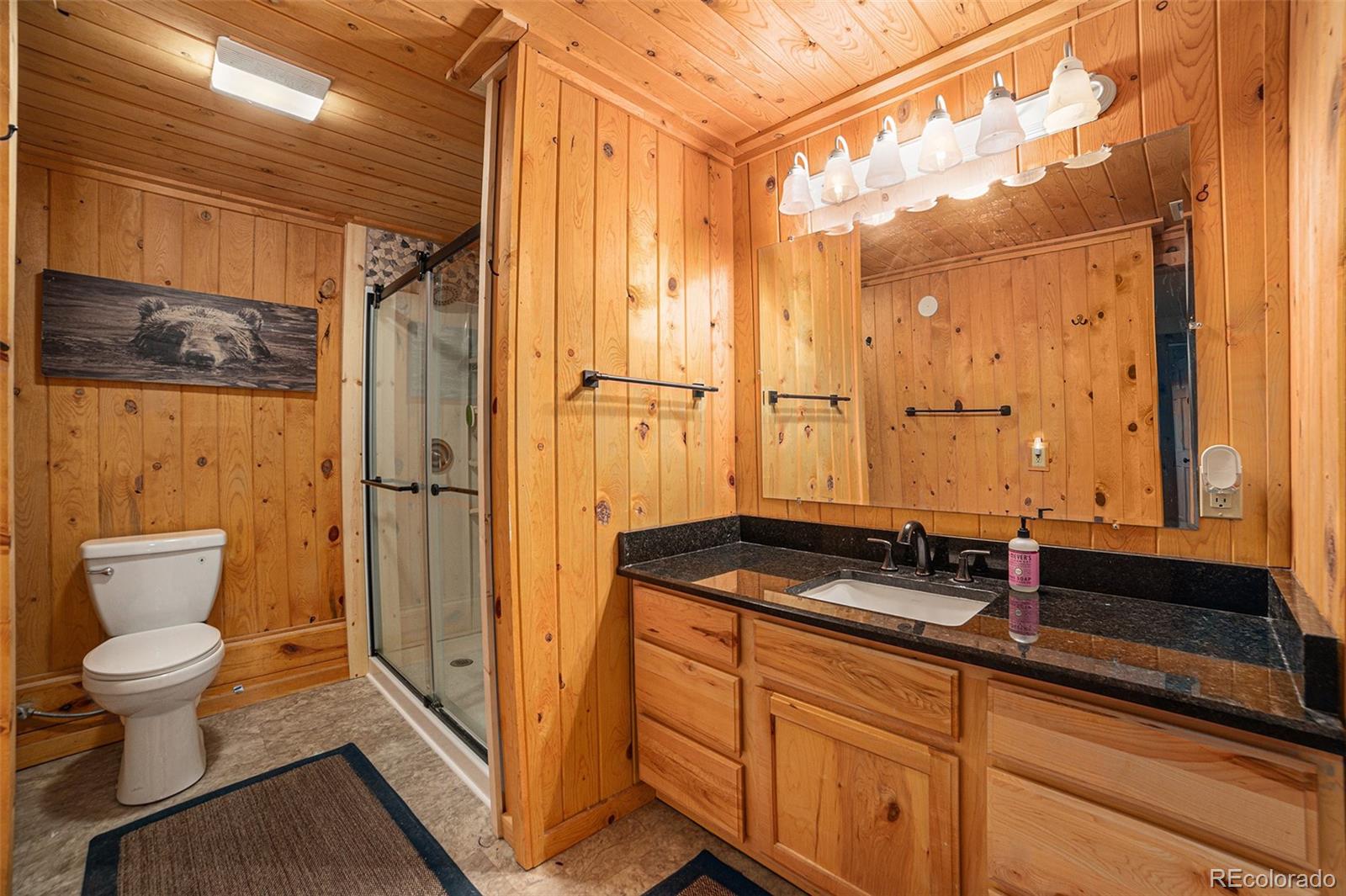 MLS Image #21 for 10  knight lane,cotopaxi, Colorado