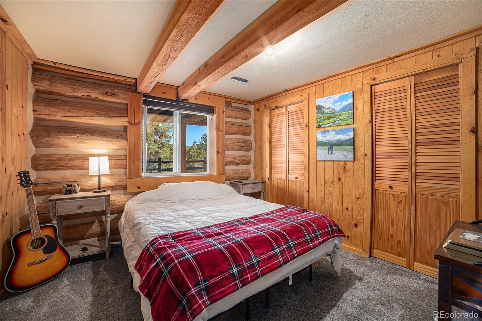 MLS Image #22 for 10  knight lane,cotopaxi, Colorado