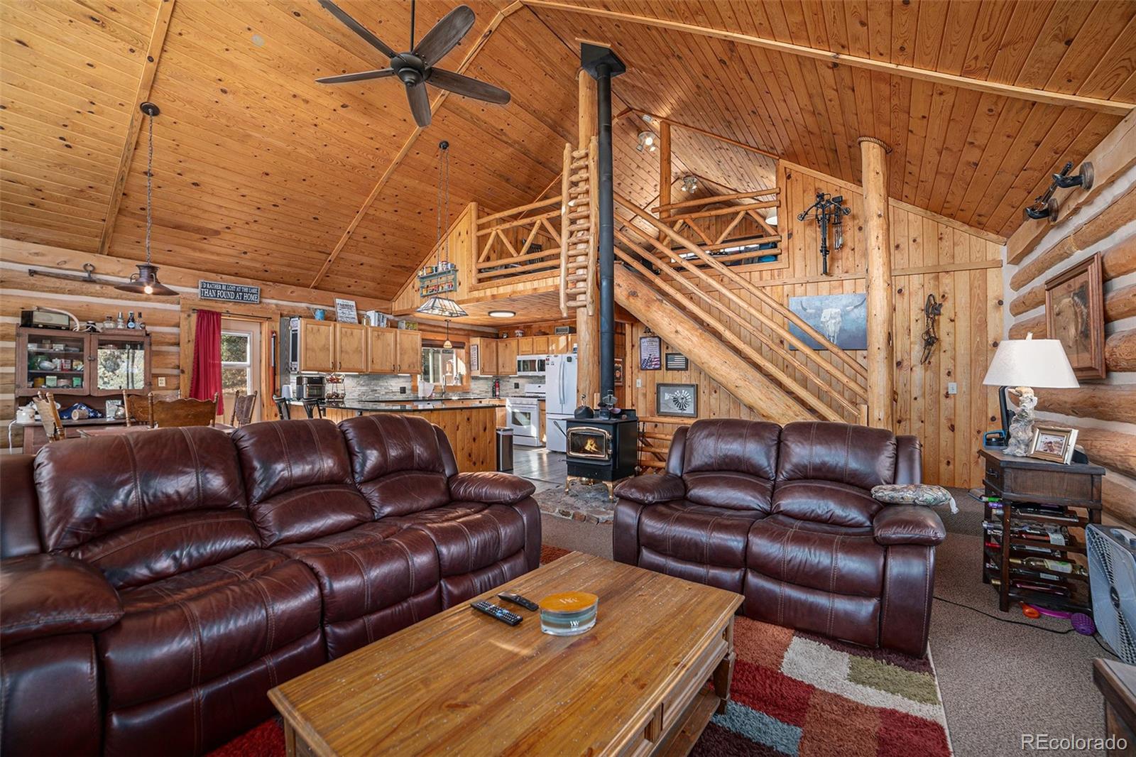 MLS Image #7 for 10  knight lane,cotopaxi, Colorado