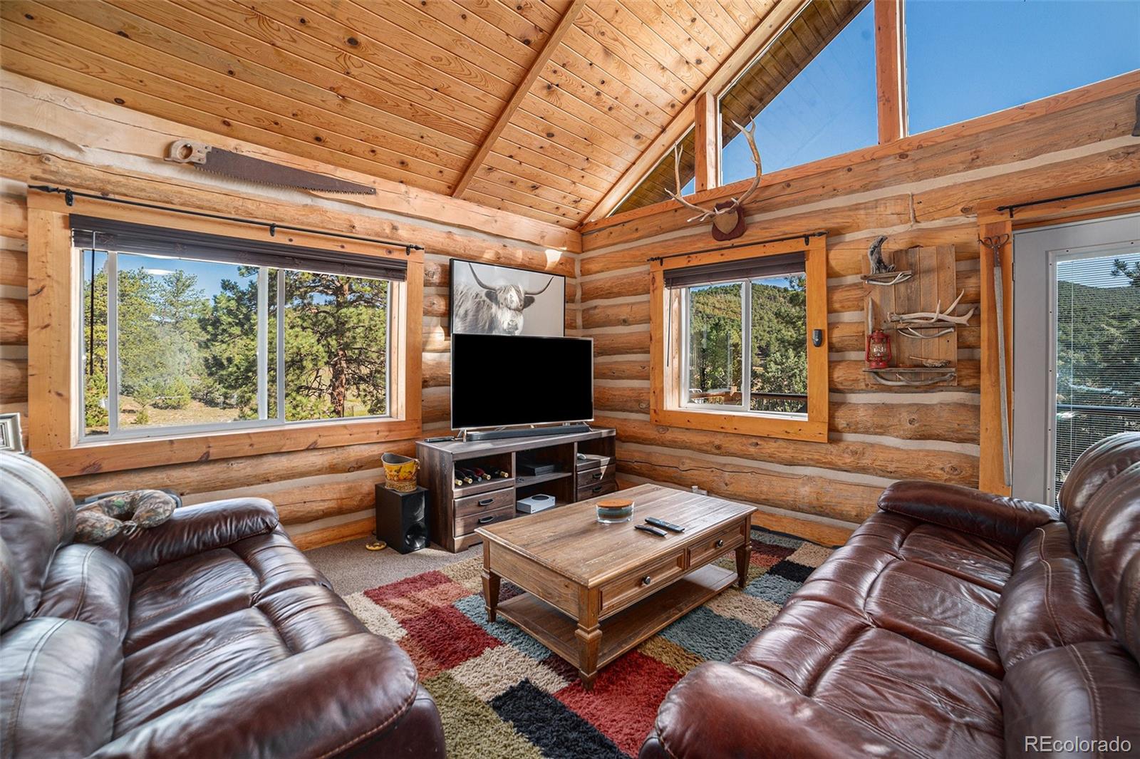MLS Image #8 for 10  knight lane,cotopaxi, Colorado
