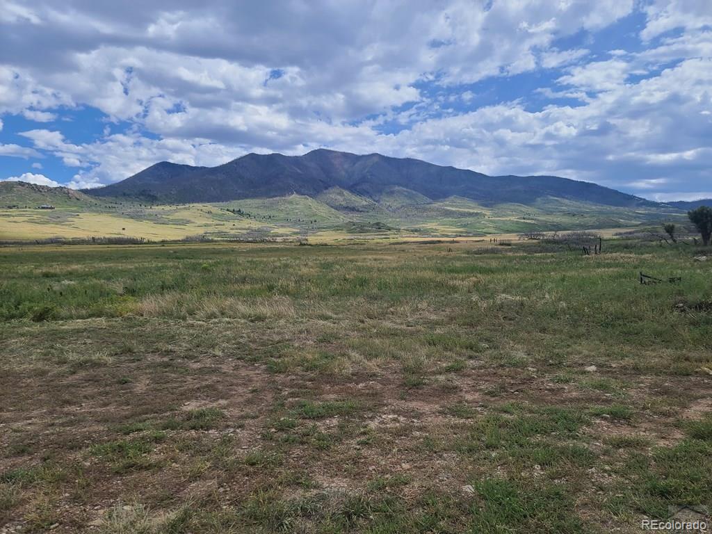 MLS Image #24 for 4  yellowstone creek ranch ,gardner, Colorado