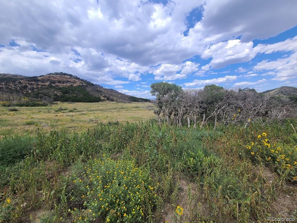 MLS Image #25 for 4  yellowstone creek ranch ,gardner, Colorado