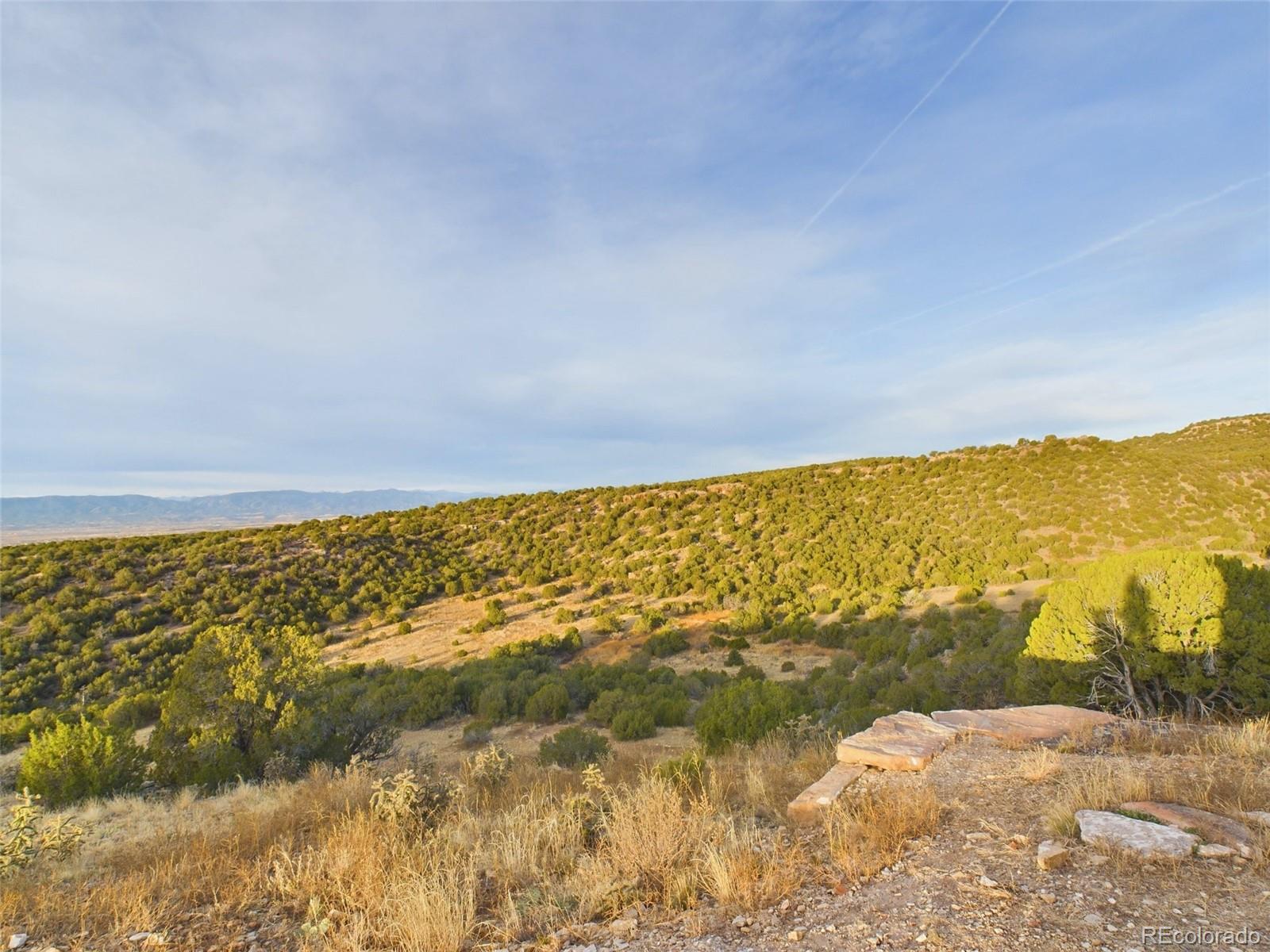 MLS Image #33 for 485  grazing bit trail,penrose, Colorado