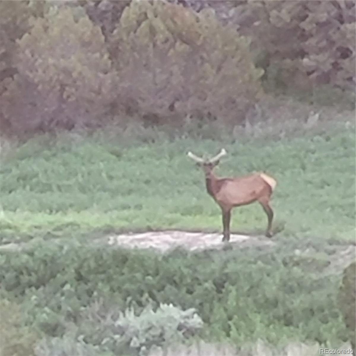 MLS Image #38 for 485  grazing bit trail,penrose, Colorado