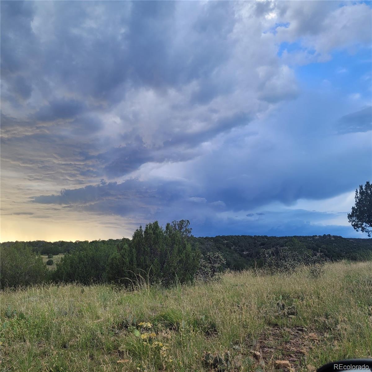 MLS Image #40 for 485  grazing bit trail,penrose, Colorado