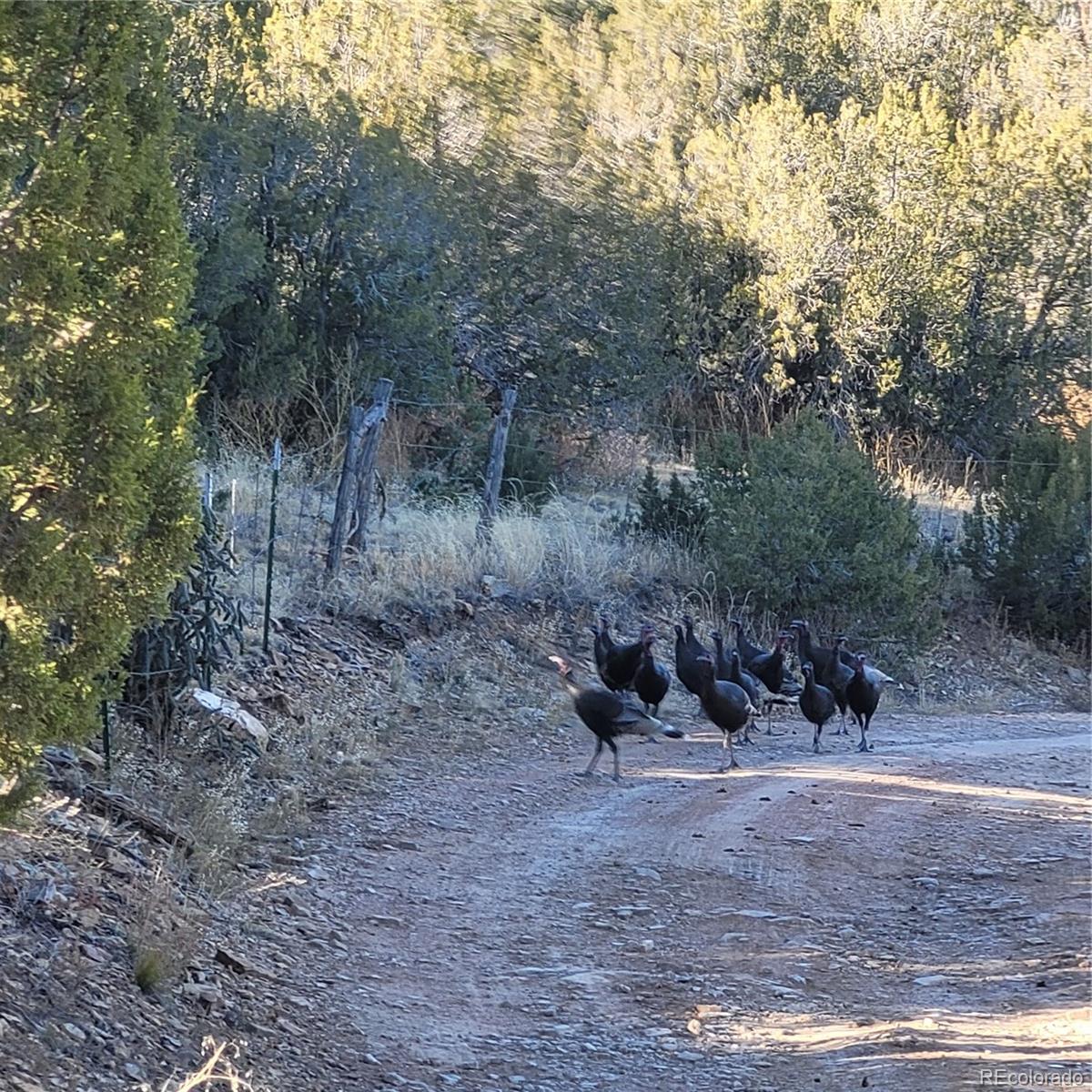 MLS Image #43 for 485  grazing bit trail,penrose, Colorado