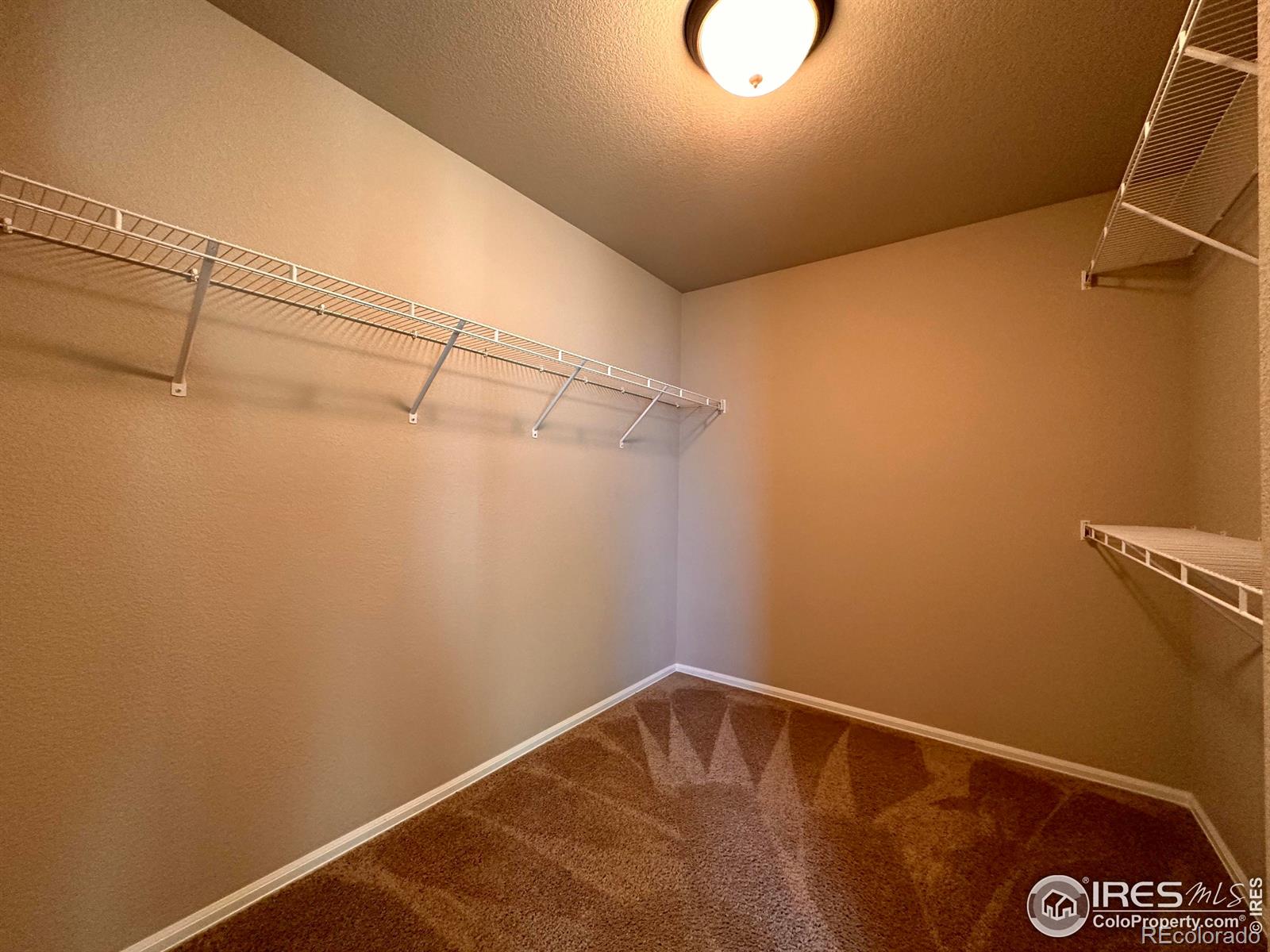 MLS Image #17 for 2057  day spring drive,windsor, Colorado