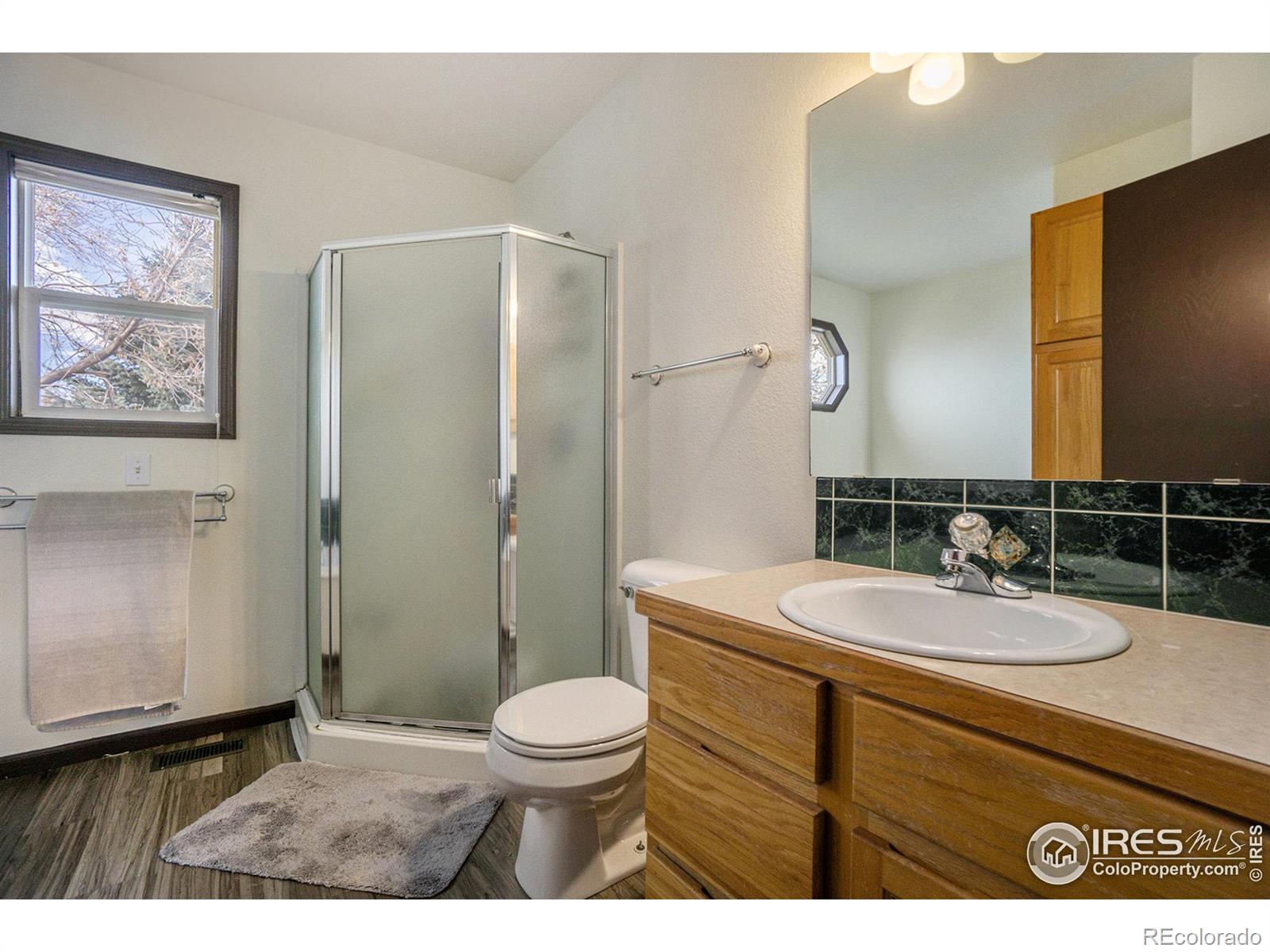 MLS Image #14 for 243  morgan drive,loveland, Colorado