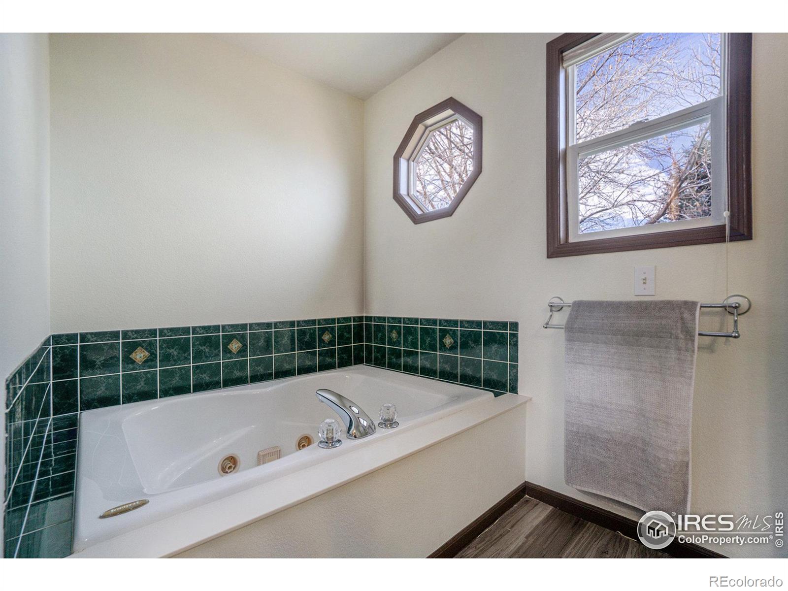 MLS Image #15 for 243  morgan drive,loveland, Colorado