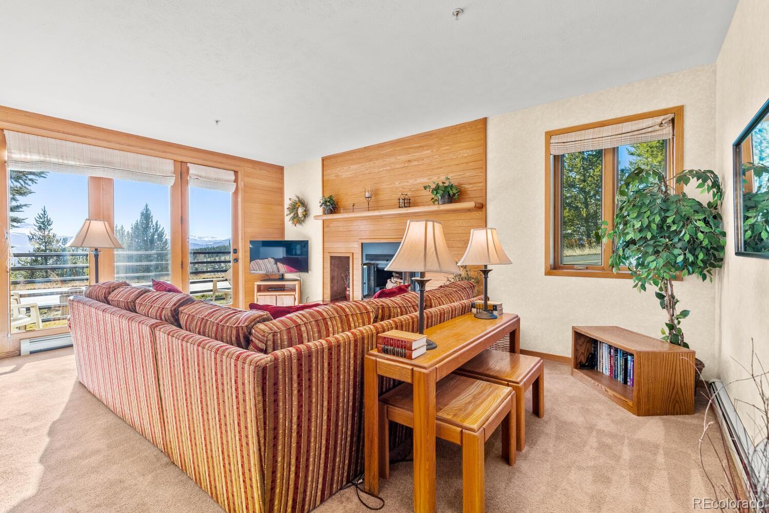 MLS Image #10 for 91400  ryan gulch road,silverthorne, Colorado