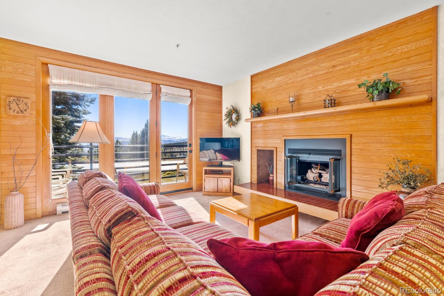 MLS Image #12 for 91400  ryan gulch road,silverthorne, Colorado