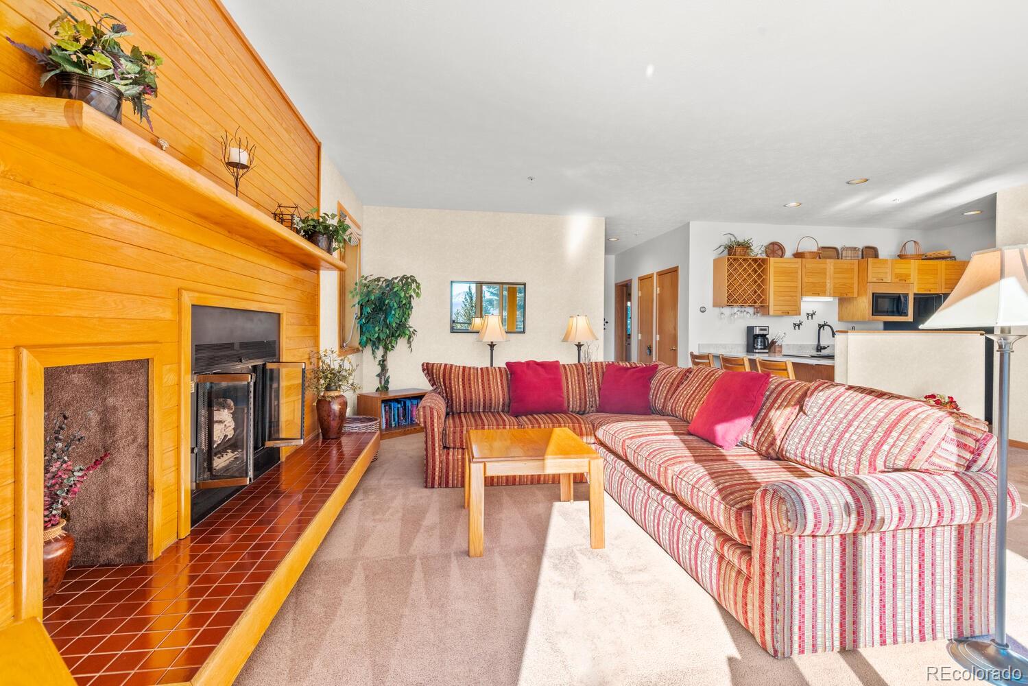 MLS Image #13 for 91400  ryan gulch road,silverthorne, Colorado