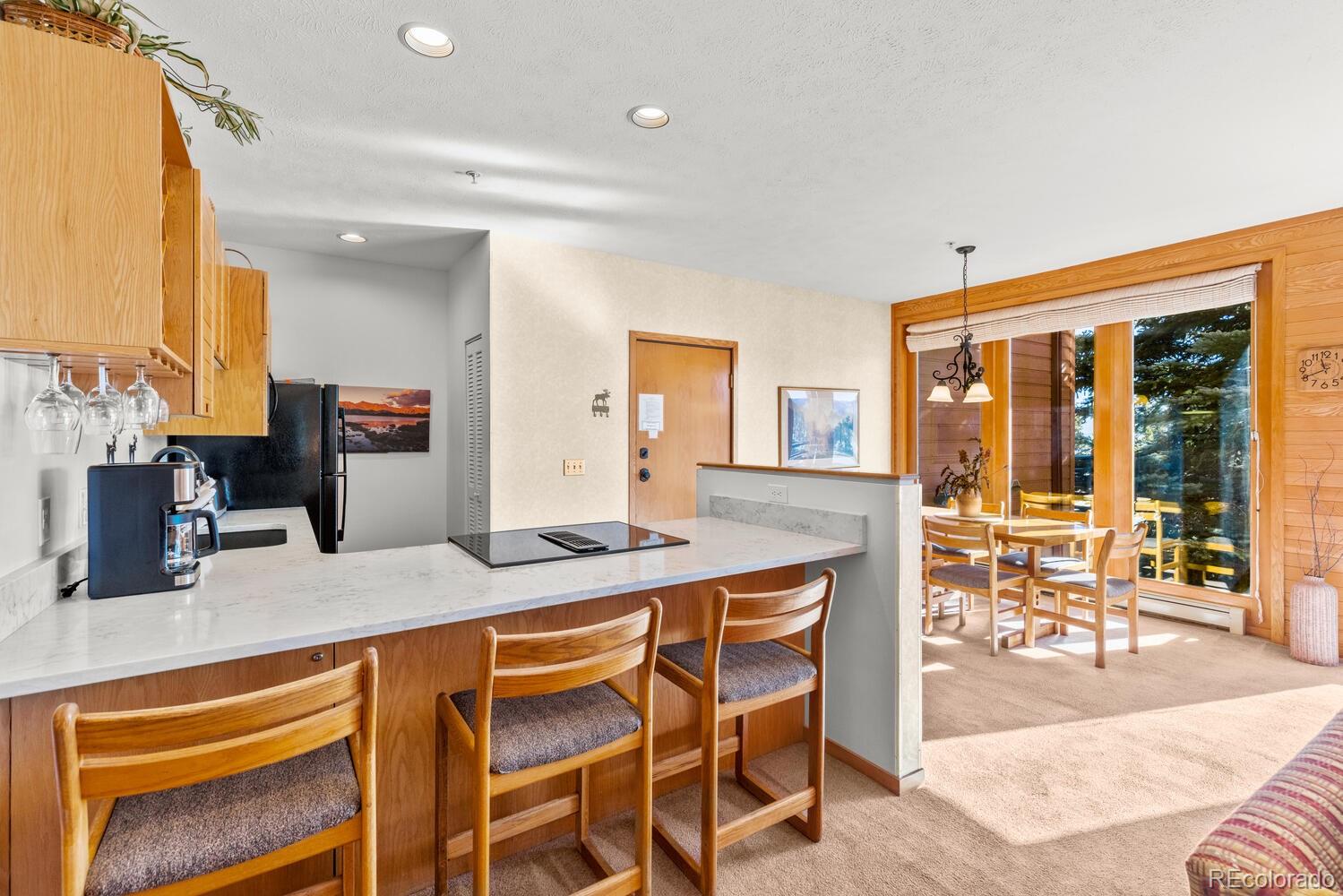 MLS Image #15 for 91400  ryan gulch road,silverthorne, Colorado