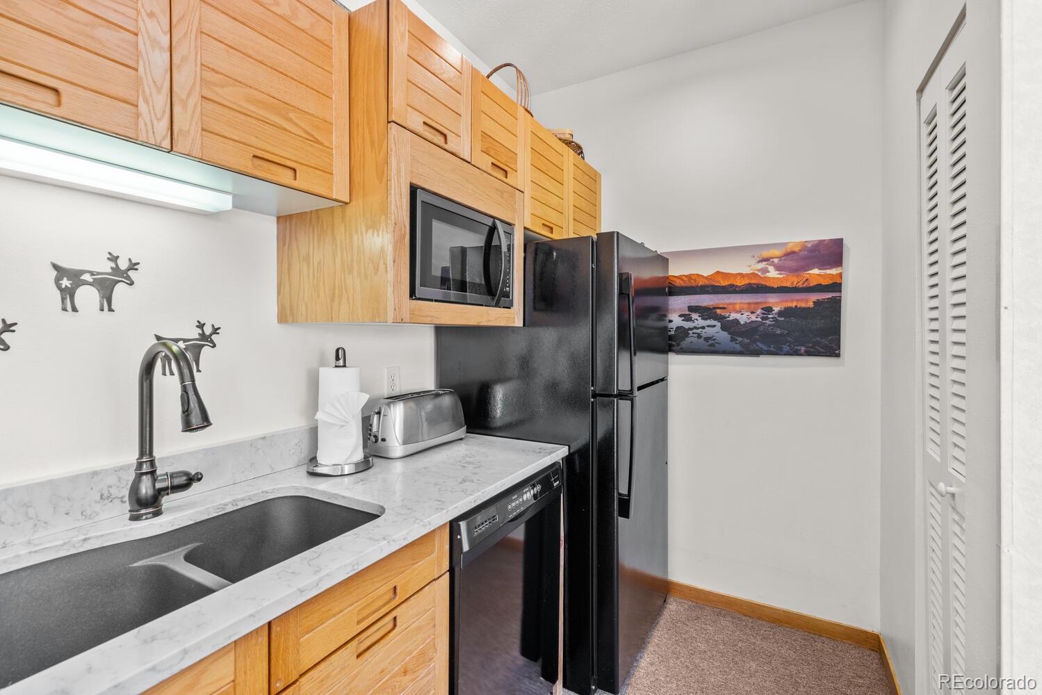 MLS Image #17 for 91400  ryan gulch road,silverthorne, Colorado