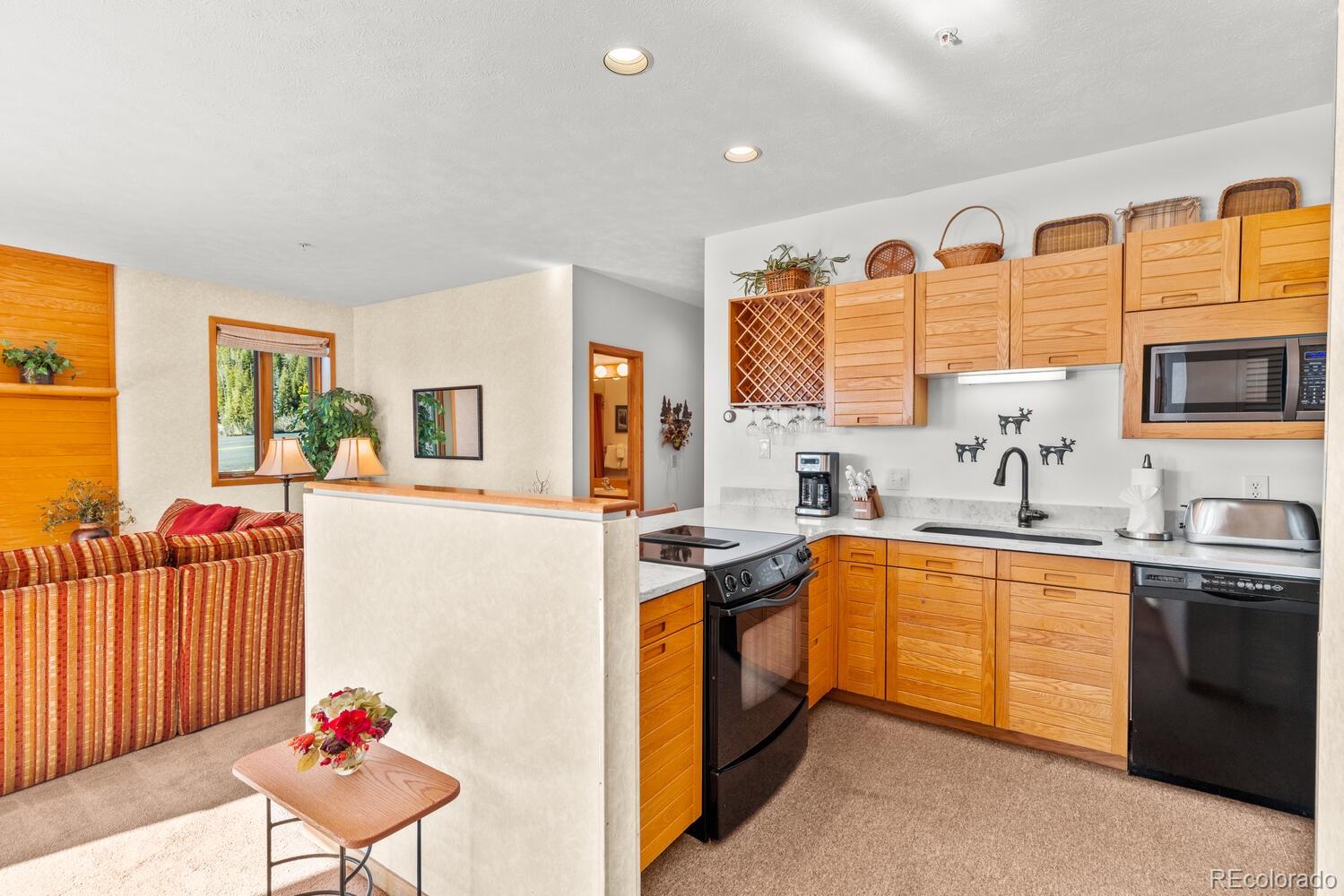 MLS Image #18 for 91400  ryan gulch road,silverthorne, Colorado