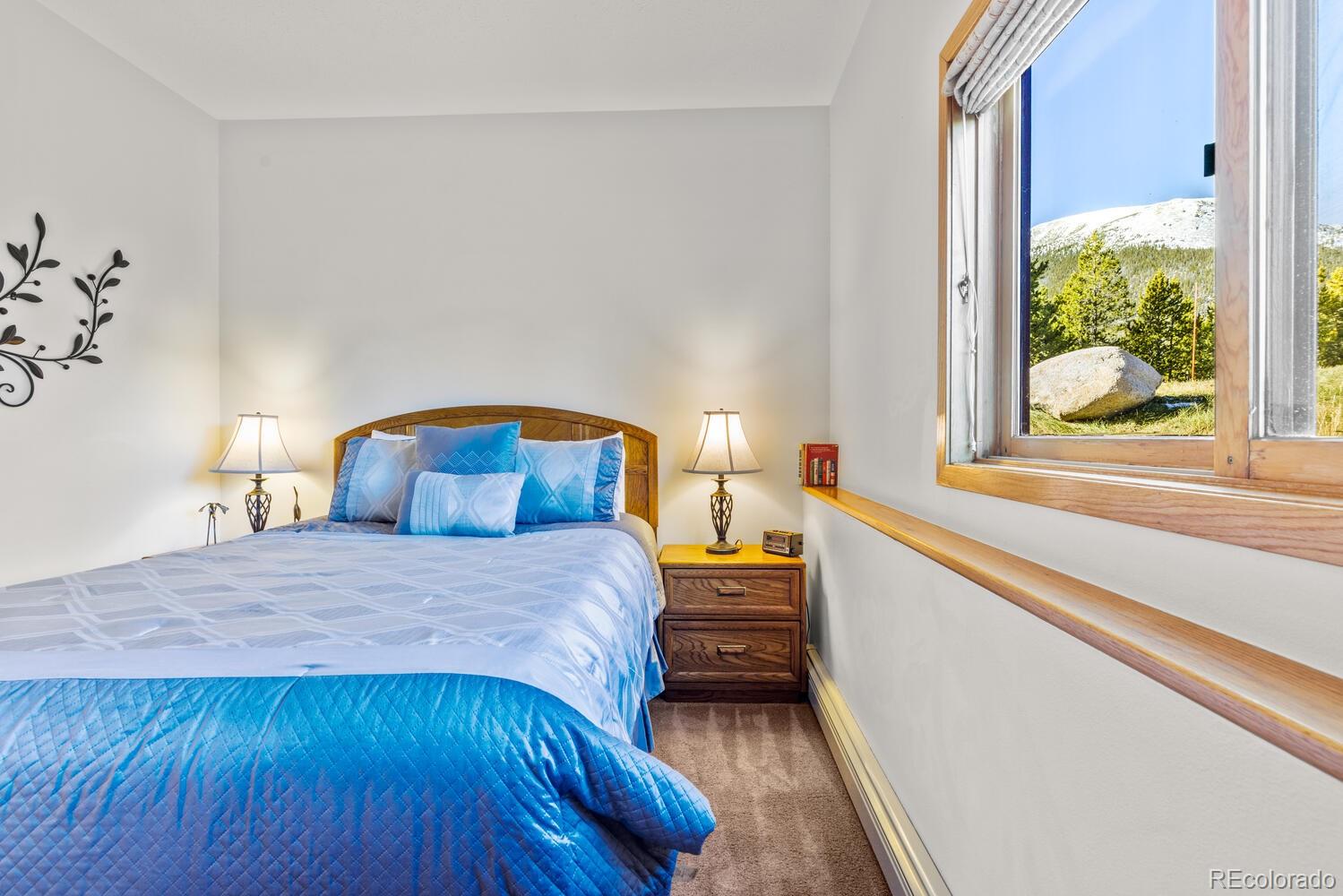 MLS Image #21 for 91400  ryan gulch road,silverthorne, Colorado