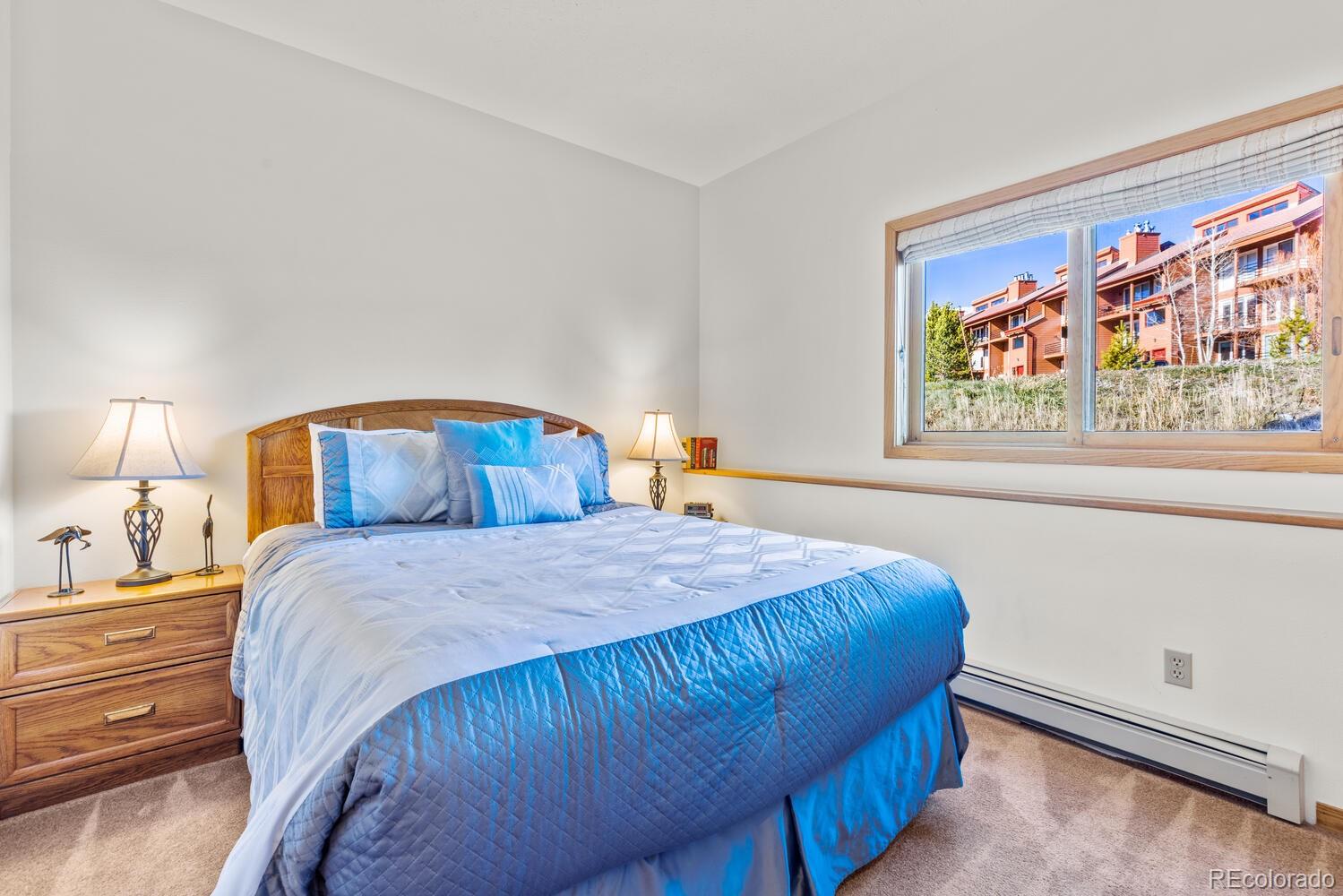 MLS Image #23 for 91400  ryan gulch road,silverthorne, Colorado