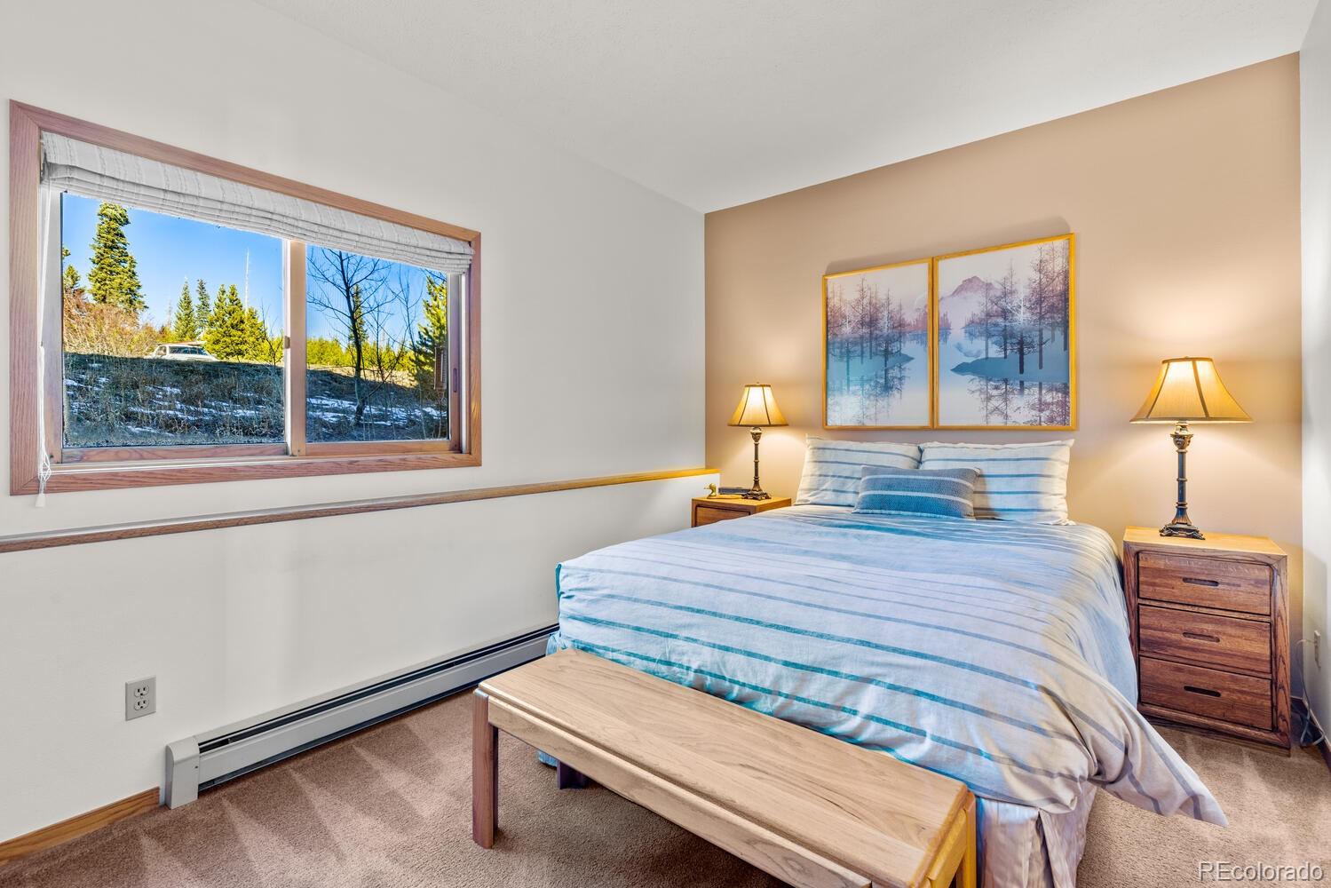 MLS Image #24 for 91400  ryan gulch road,silverthorne, Colorado