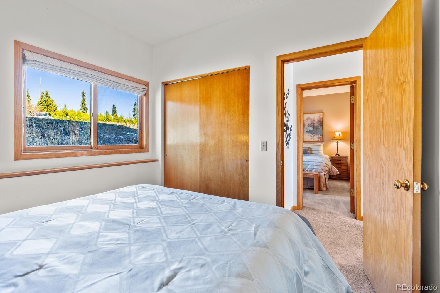 MLS Image #25 for 91400  ryan gulch road,silverthorne, Colorado
