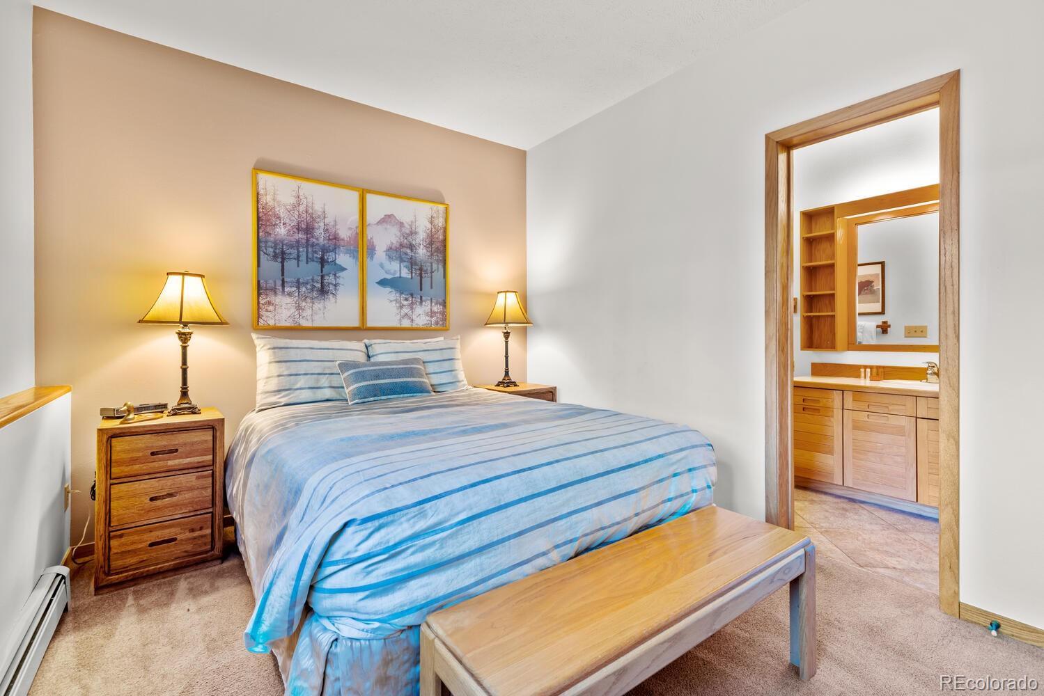 MLS Image #26 for 91400  ryan gulch road,silverthorne, Colorado