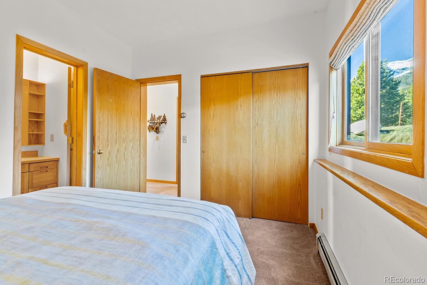 MLS Image #28 for 91400  ryan gulch road,silverthorne, Colorado