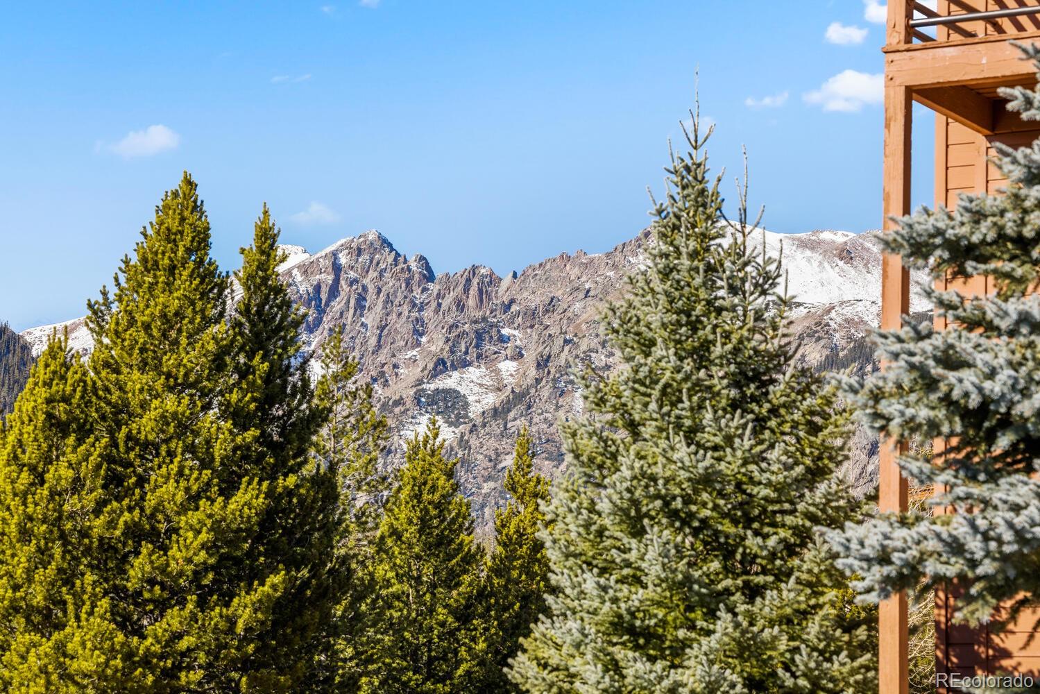MLS Image #3 for 91400  ryan gulch road,silverthorne, Colorado