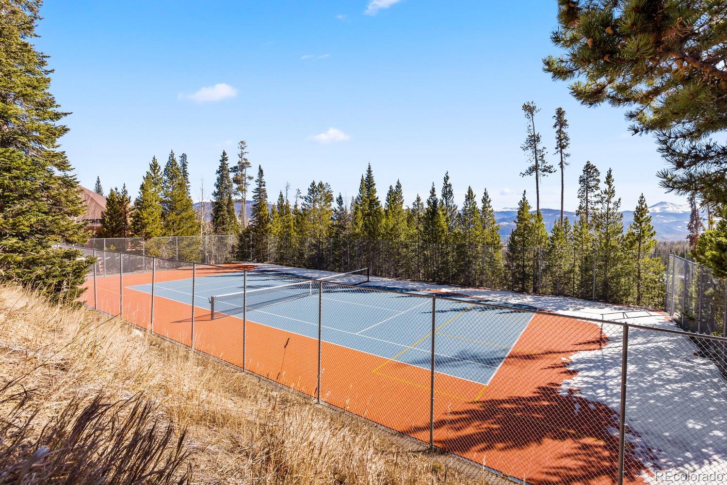 MLS Image #31 for 91400  ryan gulch road,silverthorne, Colorado