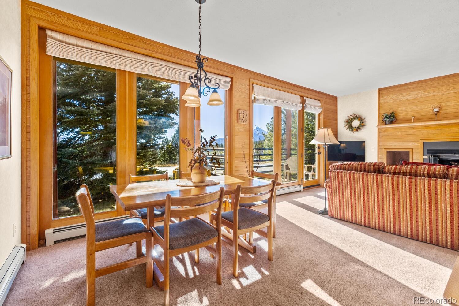 MLS Image #6 for 91400  ryan gulch road,silverthorne, Colorado