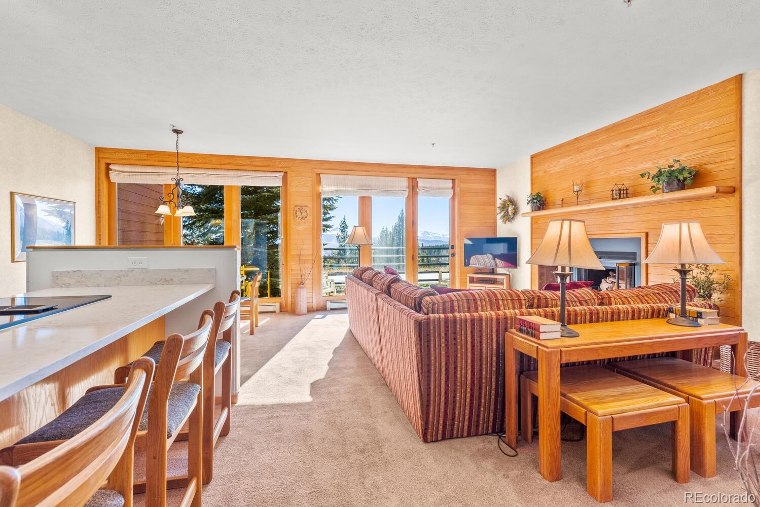 MLS Image #8 for 91400  ryan gulch road,silverthorne, Colorado