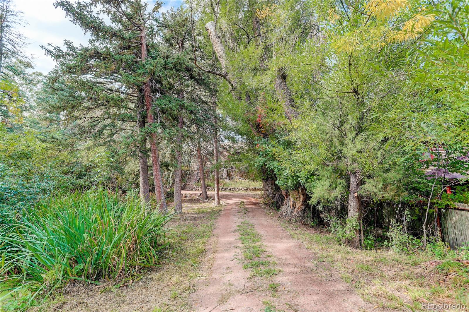 MLS Image #10 for 1604 w cheyenne road,colorado springs, Colorado