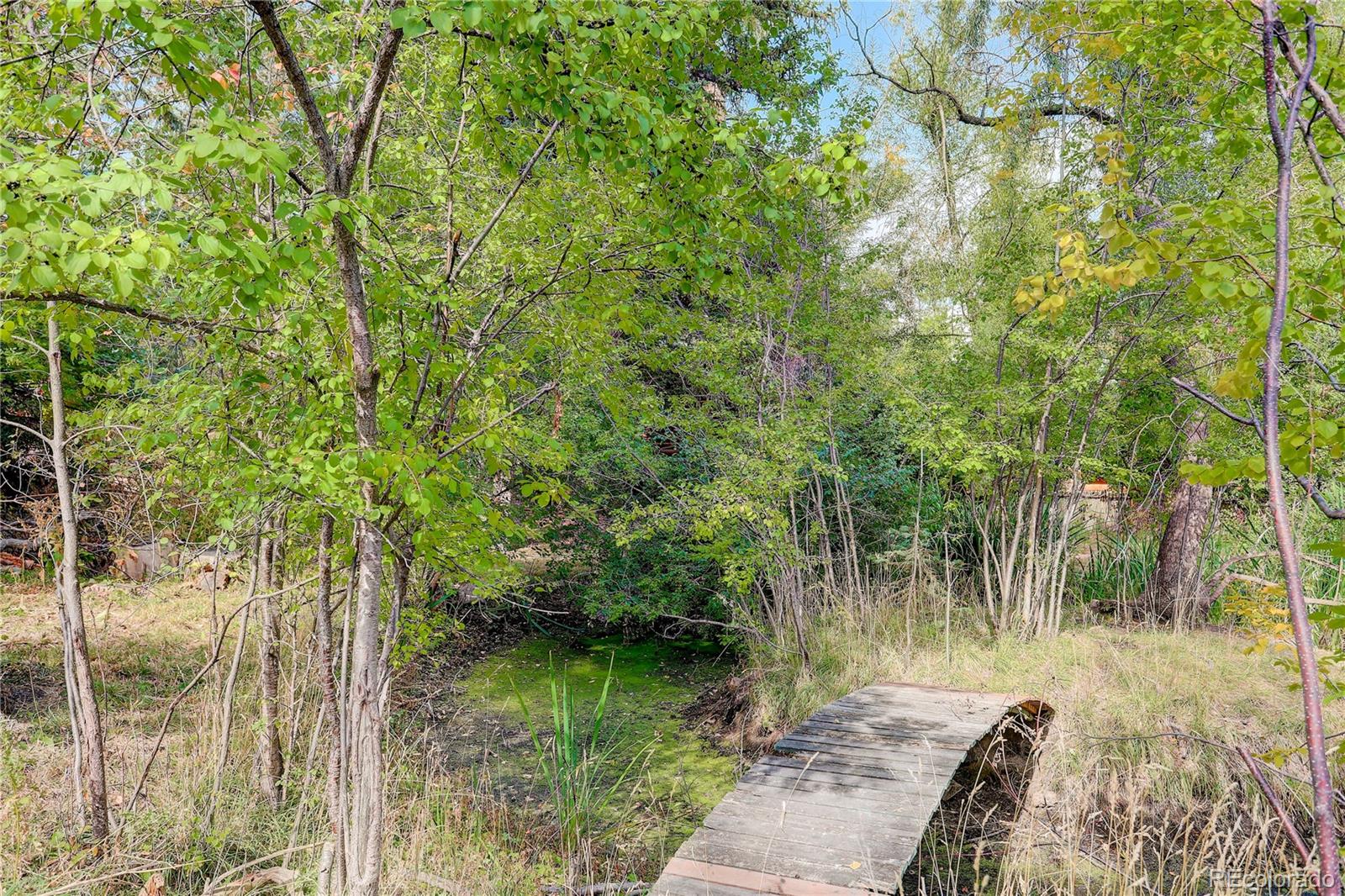 MLS Image #14 for 1604 w cheyenne road,colorado springs, Colorado