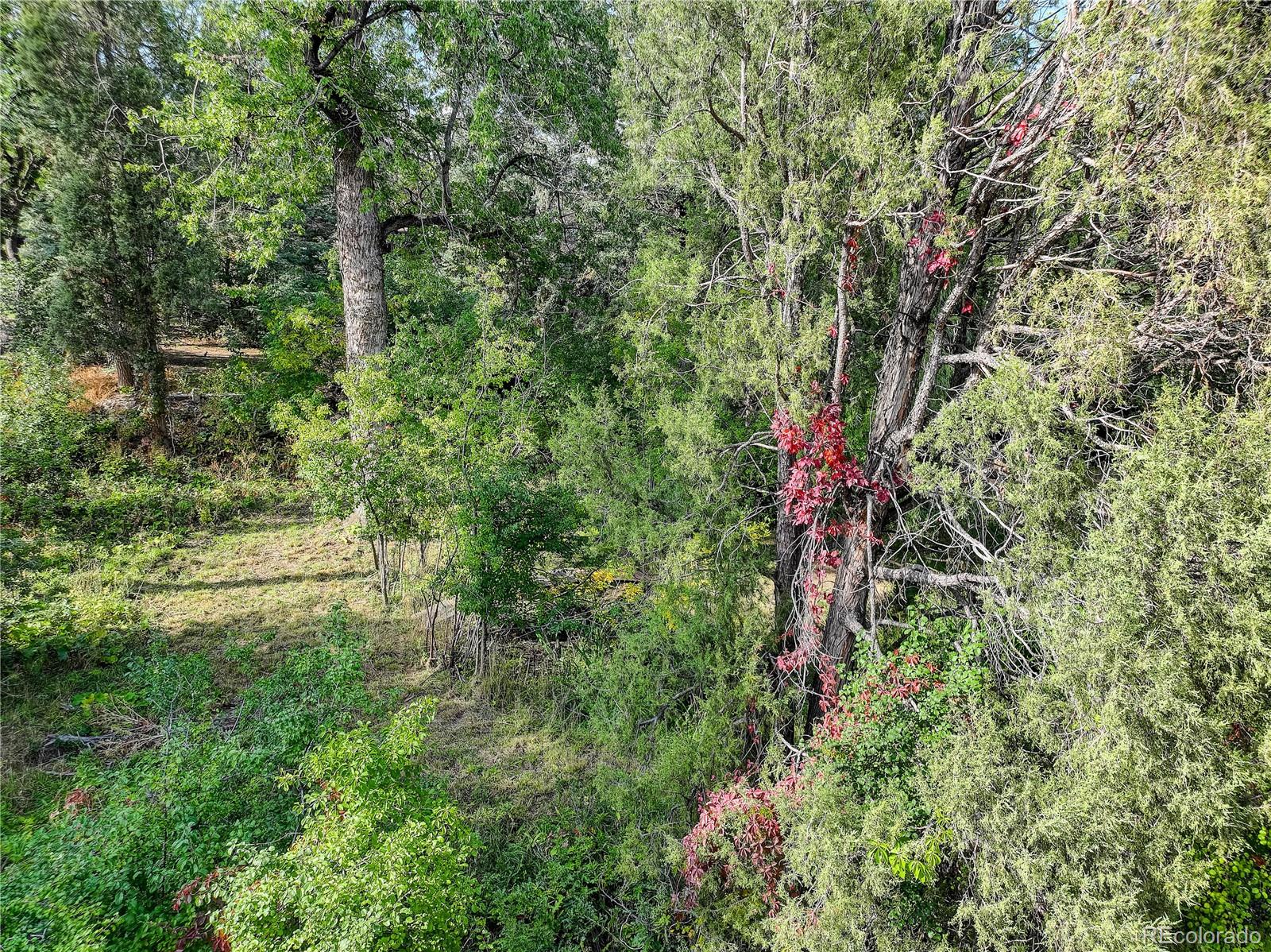 MLS Image #17 for 1604 w cheyenne road,colorado springs, Colorado