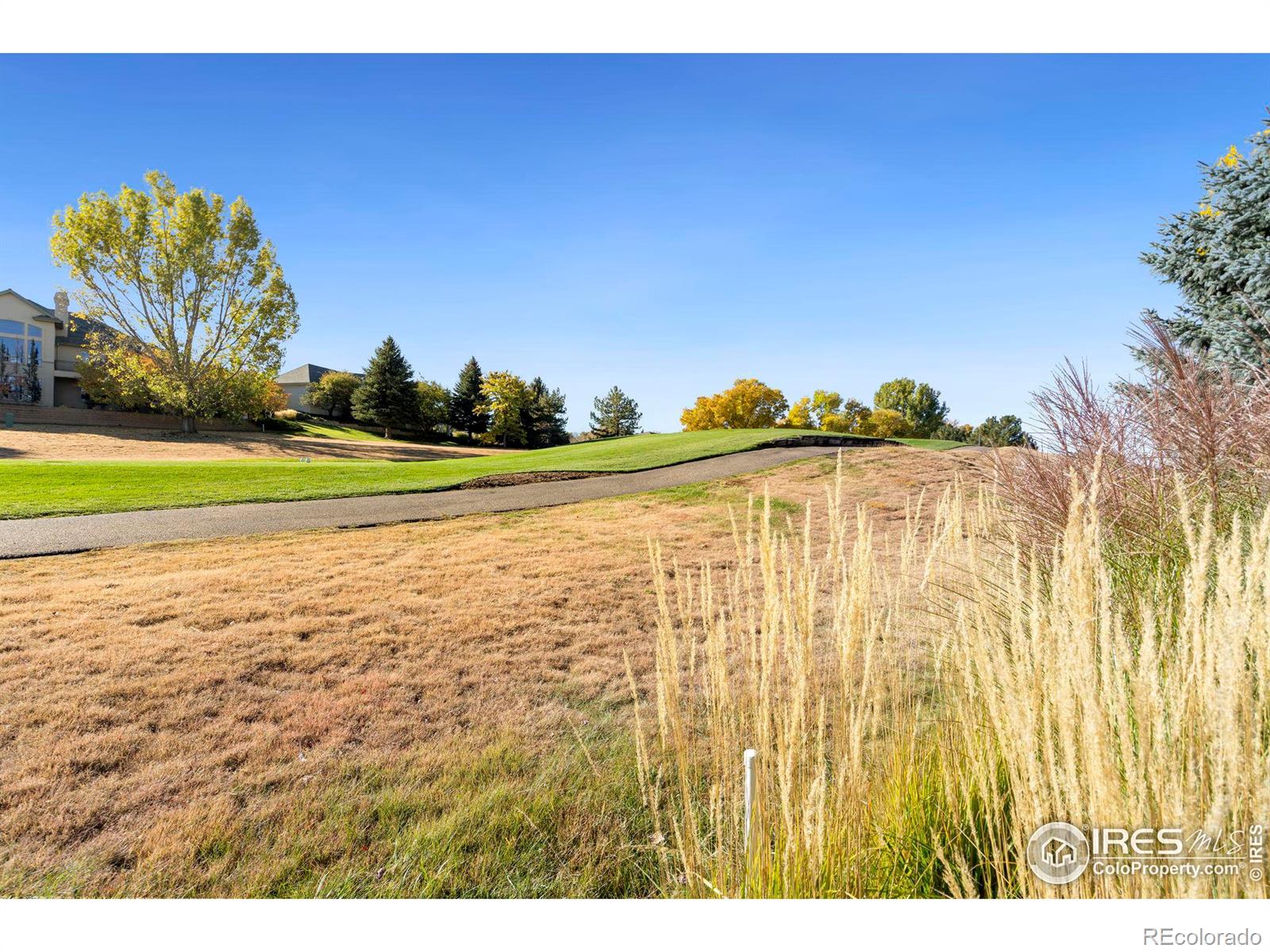 MLS Image #28 for 5935  palmer court,fort collins, Colorado