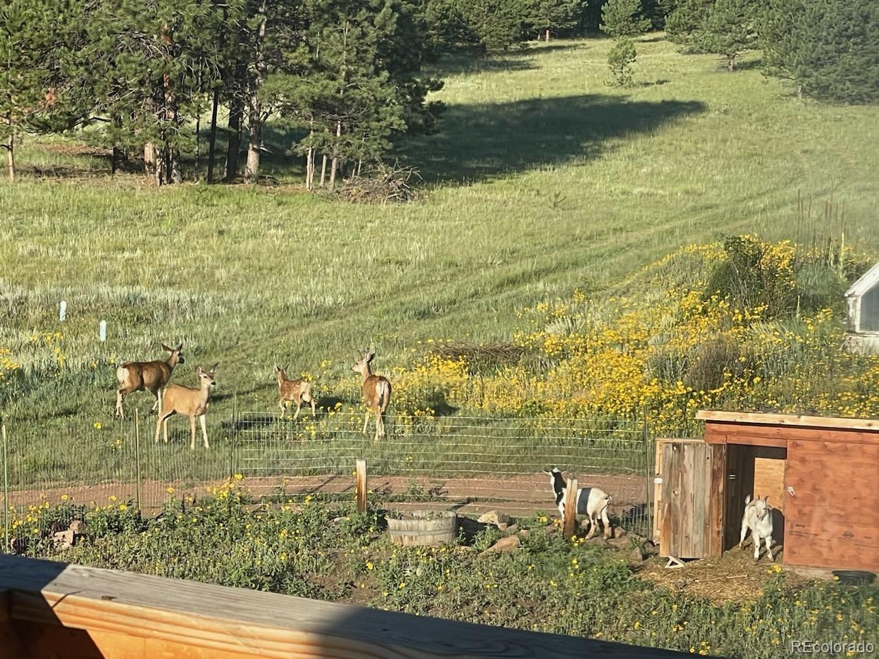 MLS Image #35 for 475  sioux road,florissant, Colorado