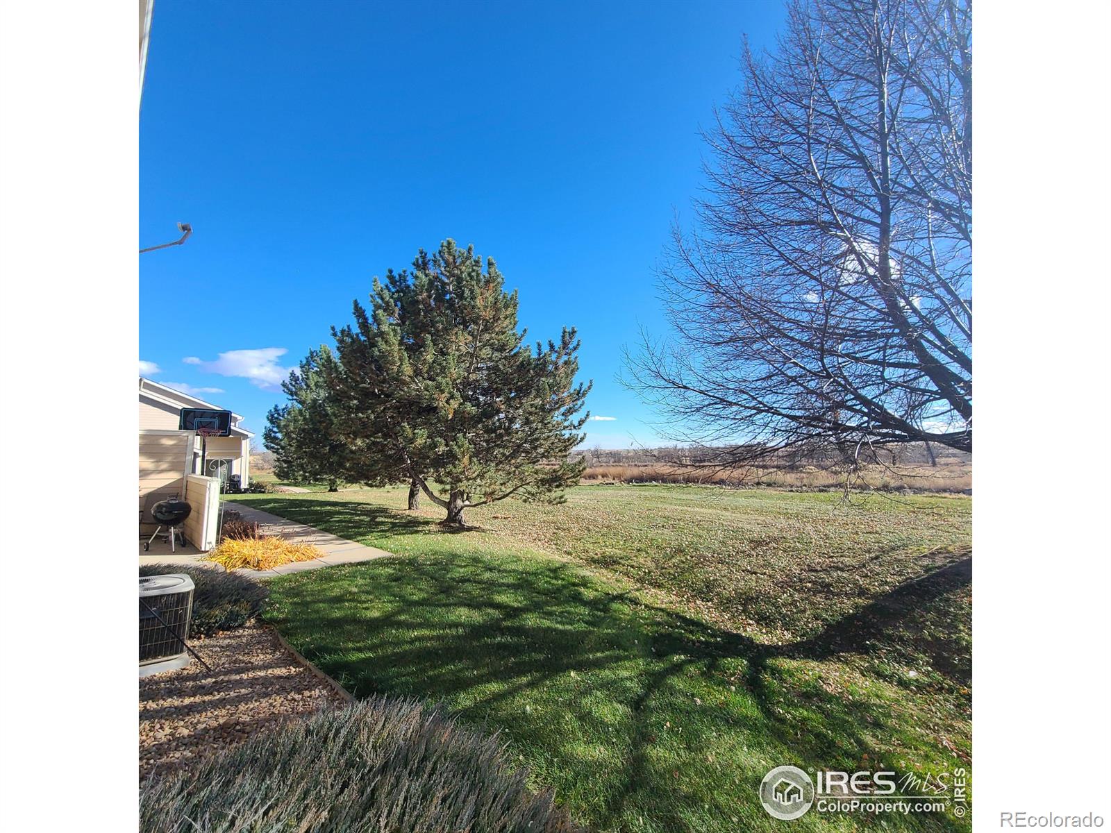 MLS Image #2 for 1601  great western drive,longmont, Colorado