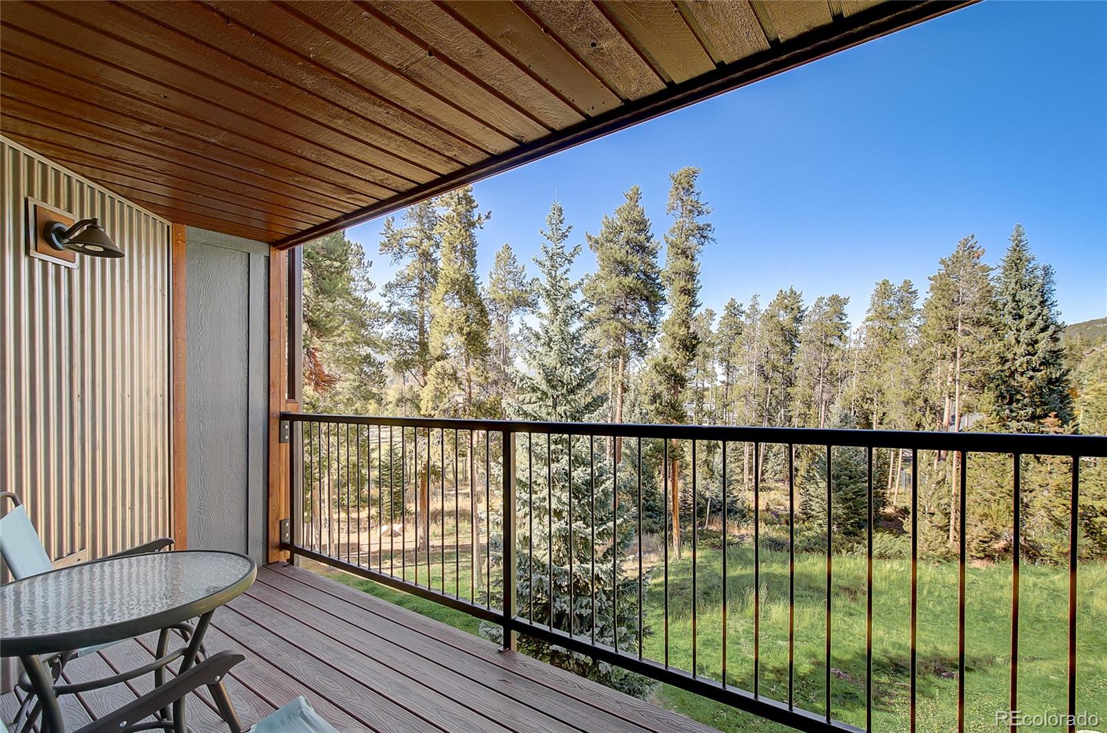 MLS Image #10 for 530 s french street 205,breckenridge, Colorado