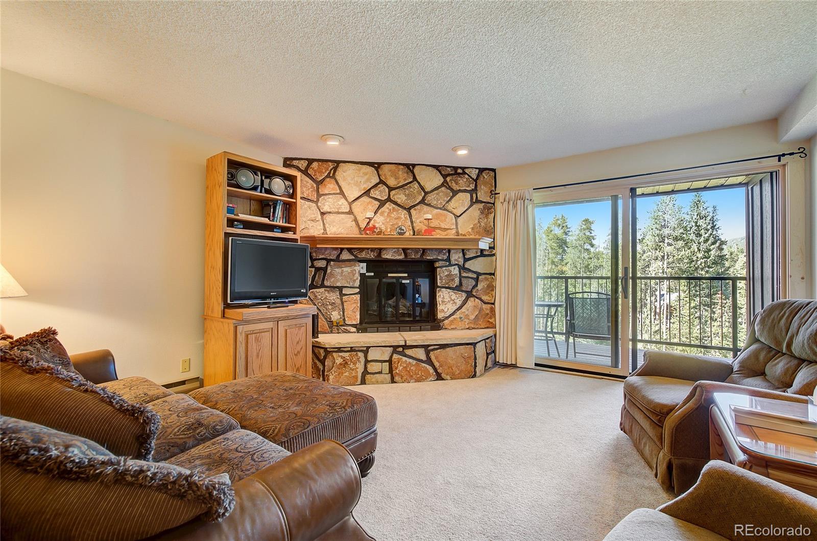 MLS Image #5 for 530 s french street 205,breckenridge, Colorado